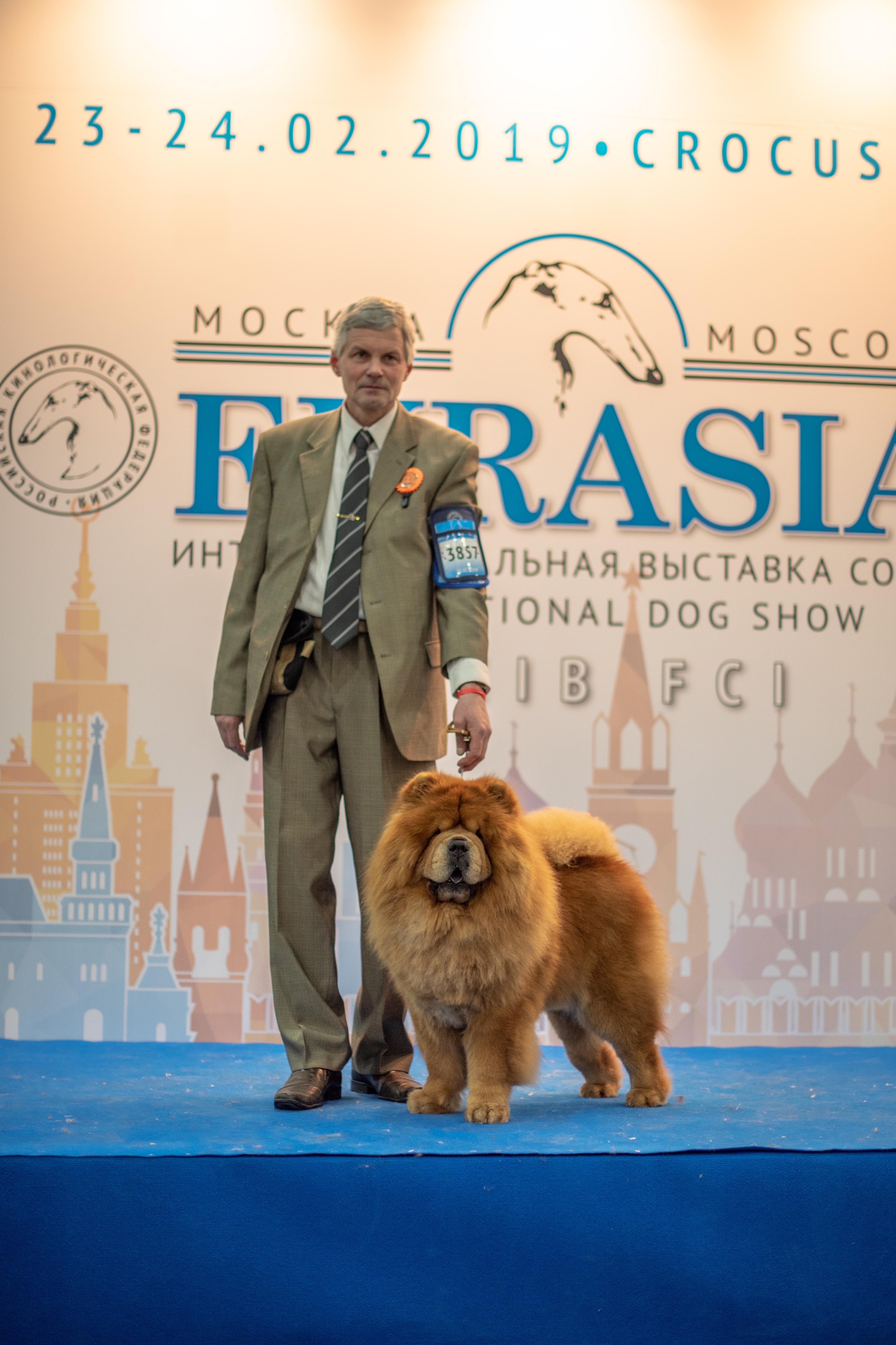 Сеня - 6 лет - Евразия -2019 - 23.02.2019г. - отл. 4