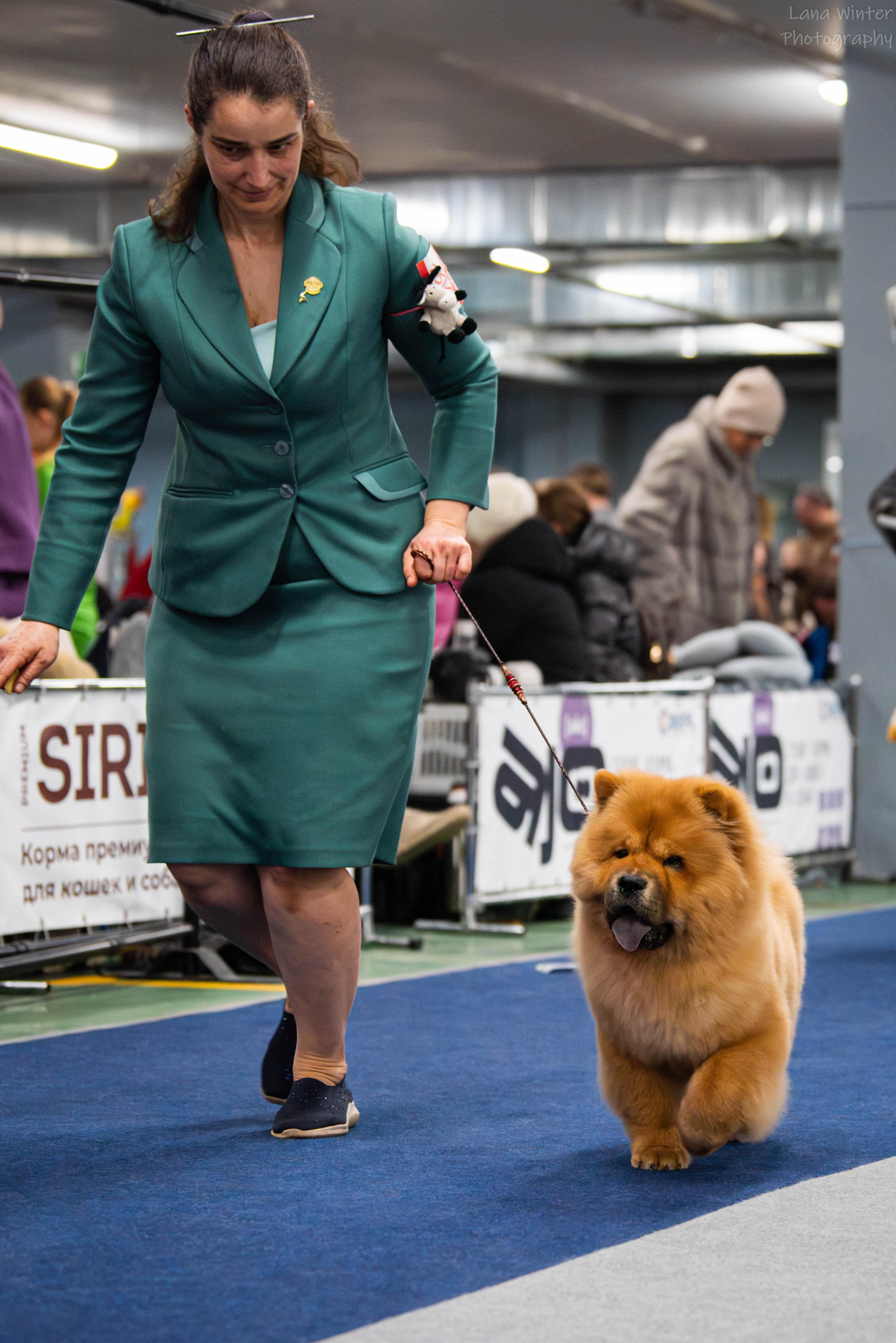 25.10.2025 Hip-Hop Djalo 