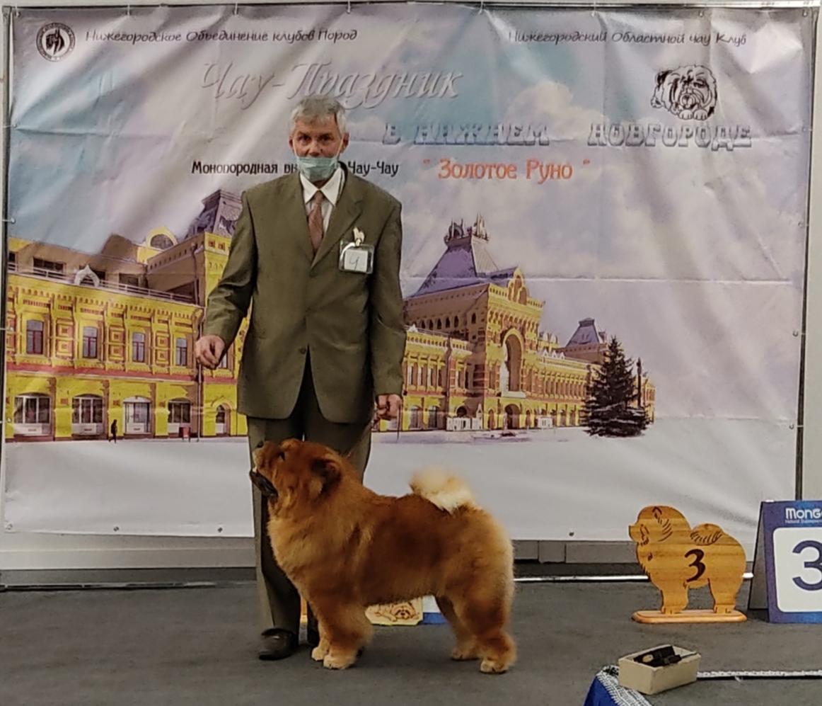 Сеня - 15 месяцев - Фауна - 08.02.2014 - отл., CW, САС, ЧФ