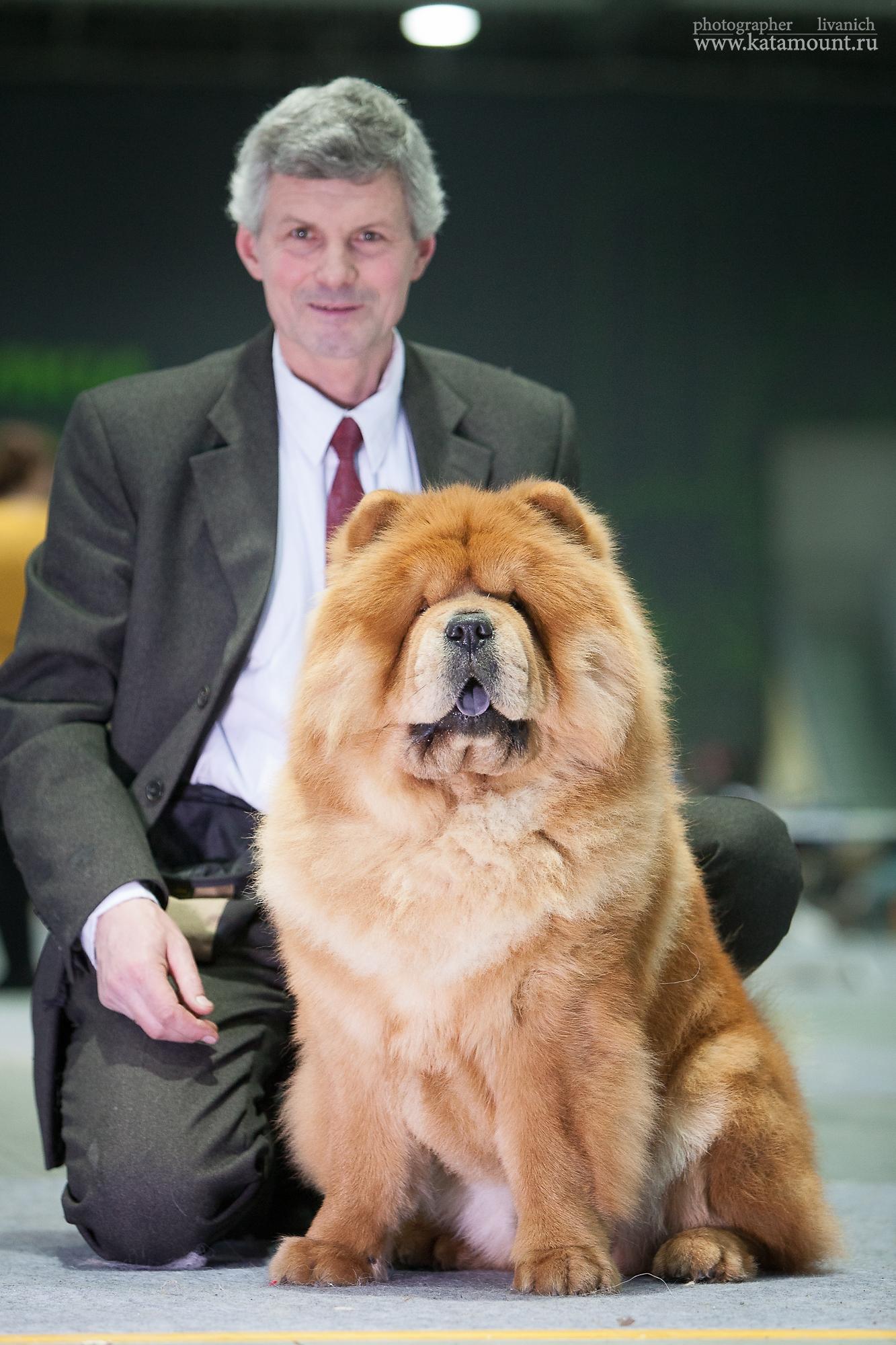 Сеня - 15 месяцев - Фауна - 08.02.2014 - отл., CW, САС, ЧФ