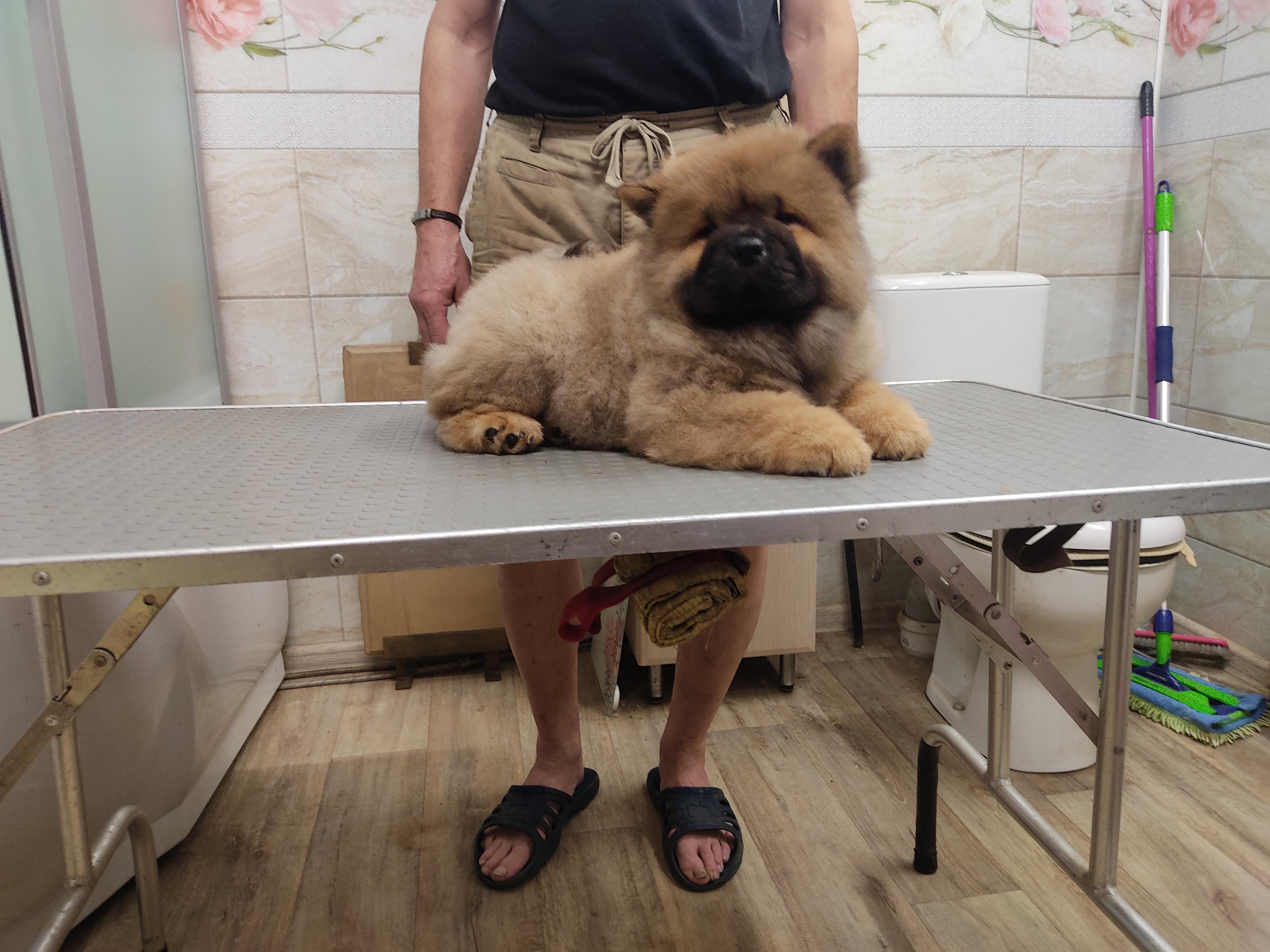 Клото Сани Анджонг