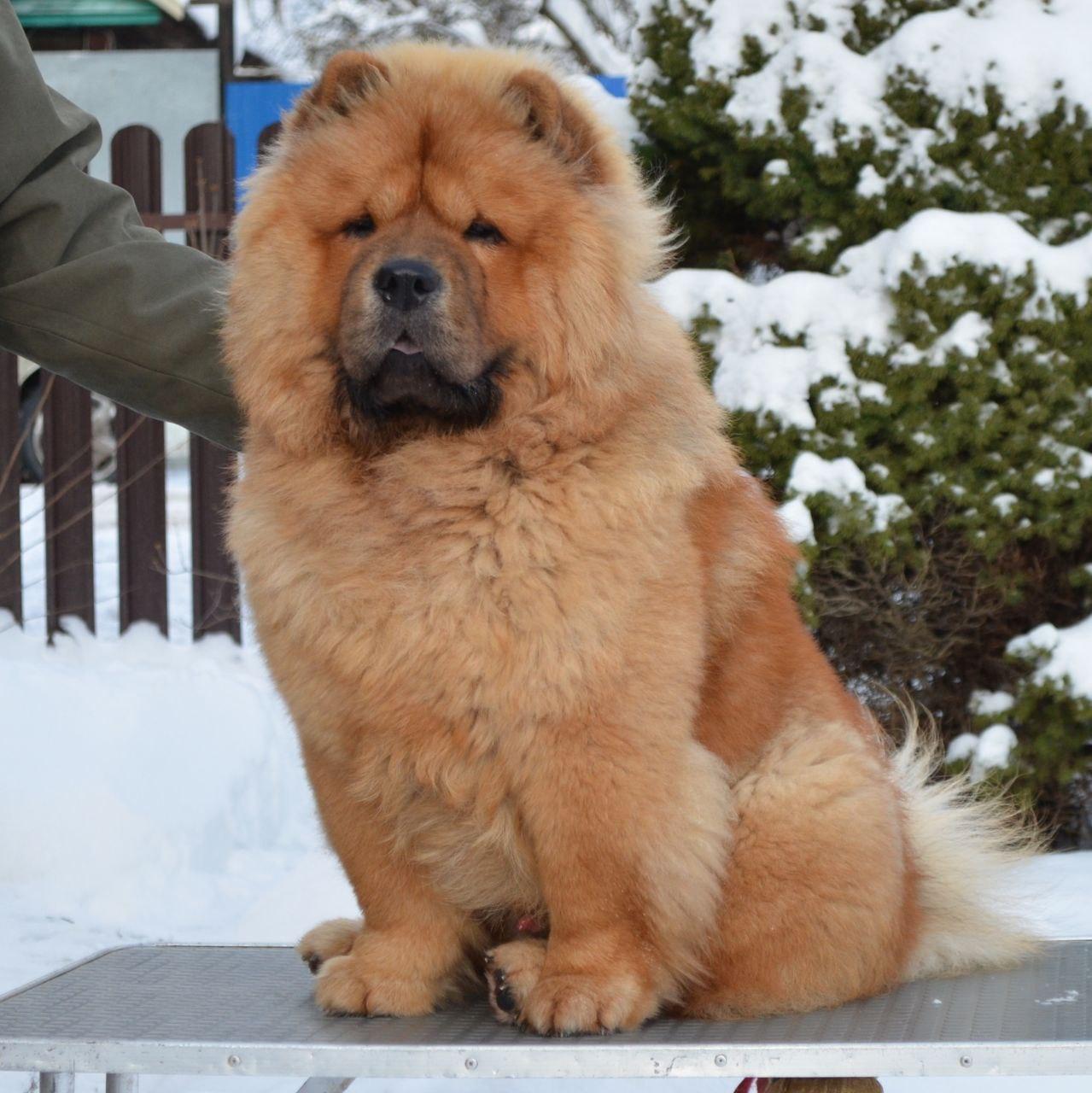 Сеня 7 месяцев