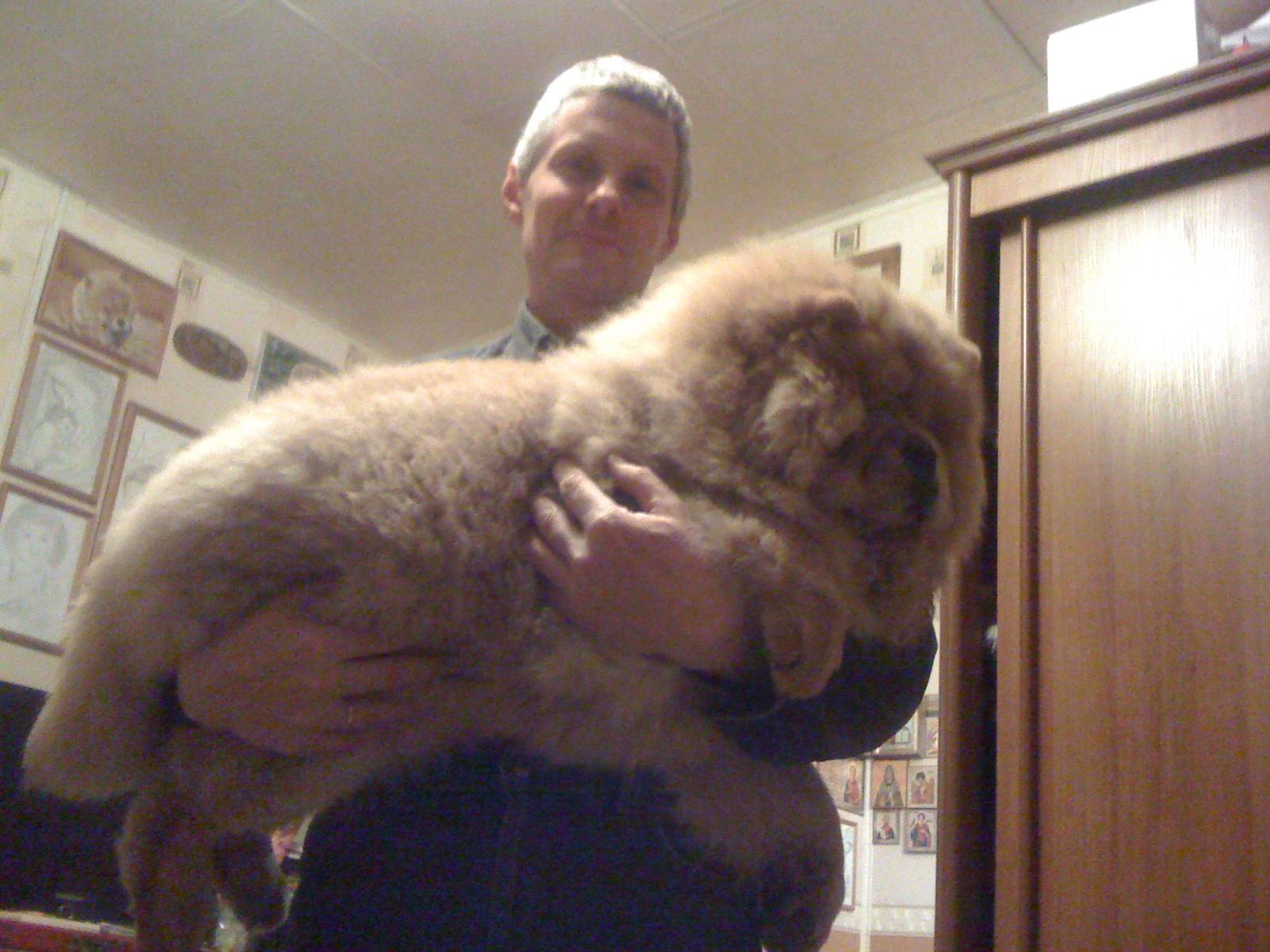 Осенний  Поцелуй Файер Сталкер (Сеня) -  4 месяца