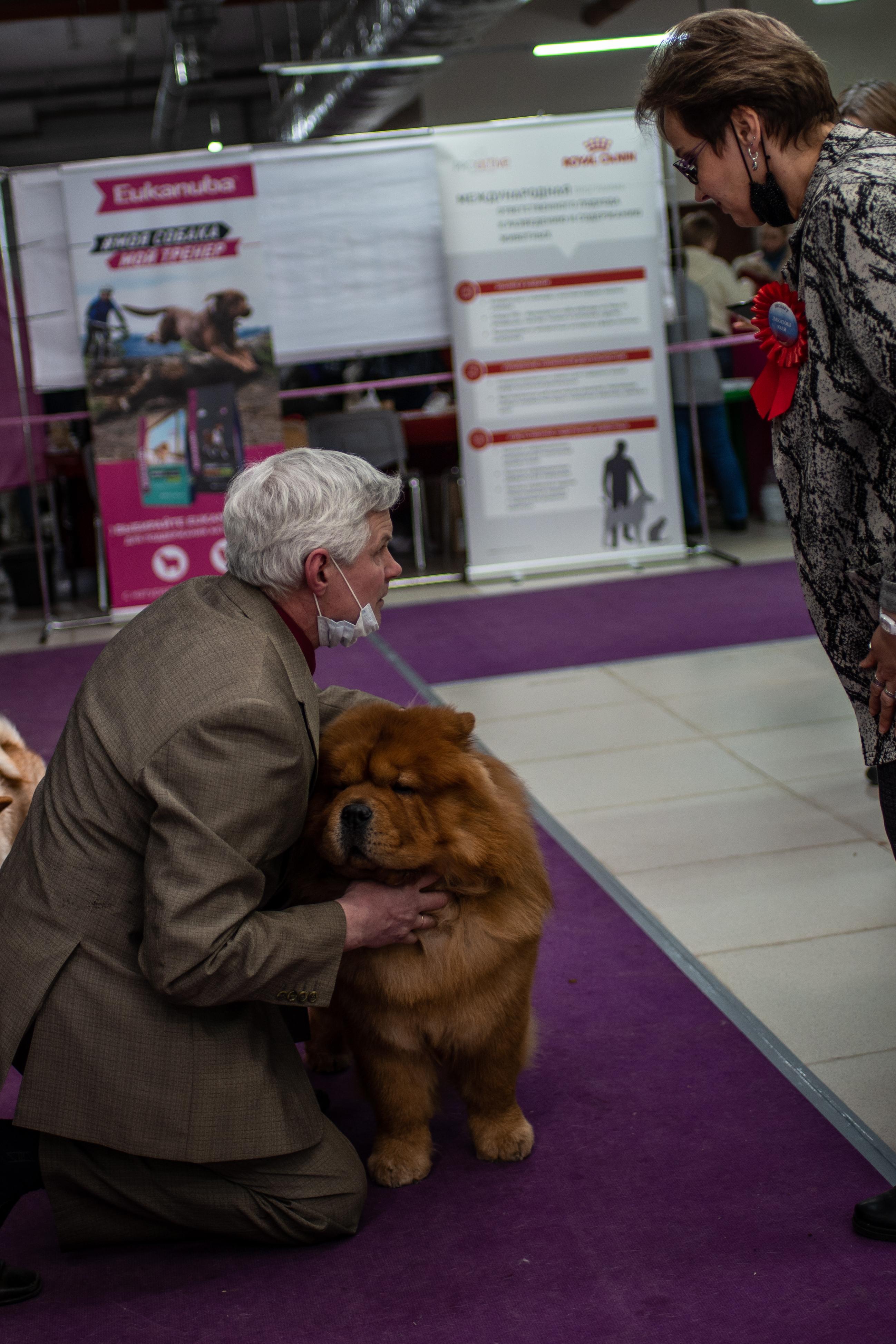 Сеня - 2,5 года - Евразия-2015 - 21.03.2015г. - отл. 3