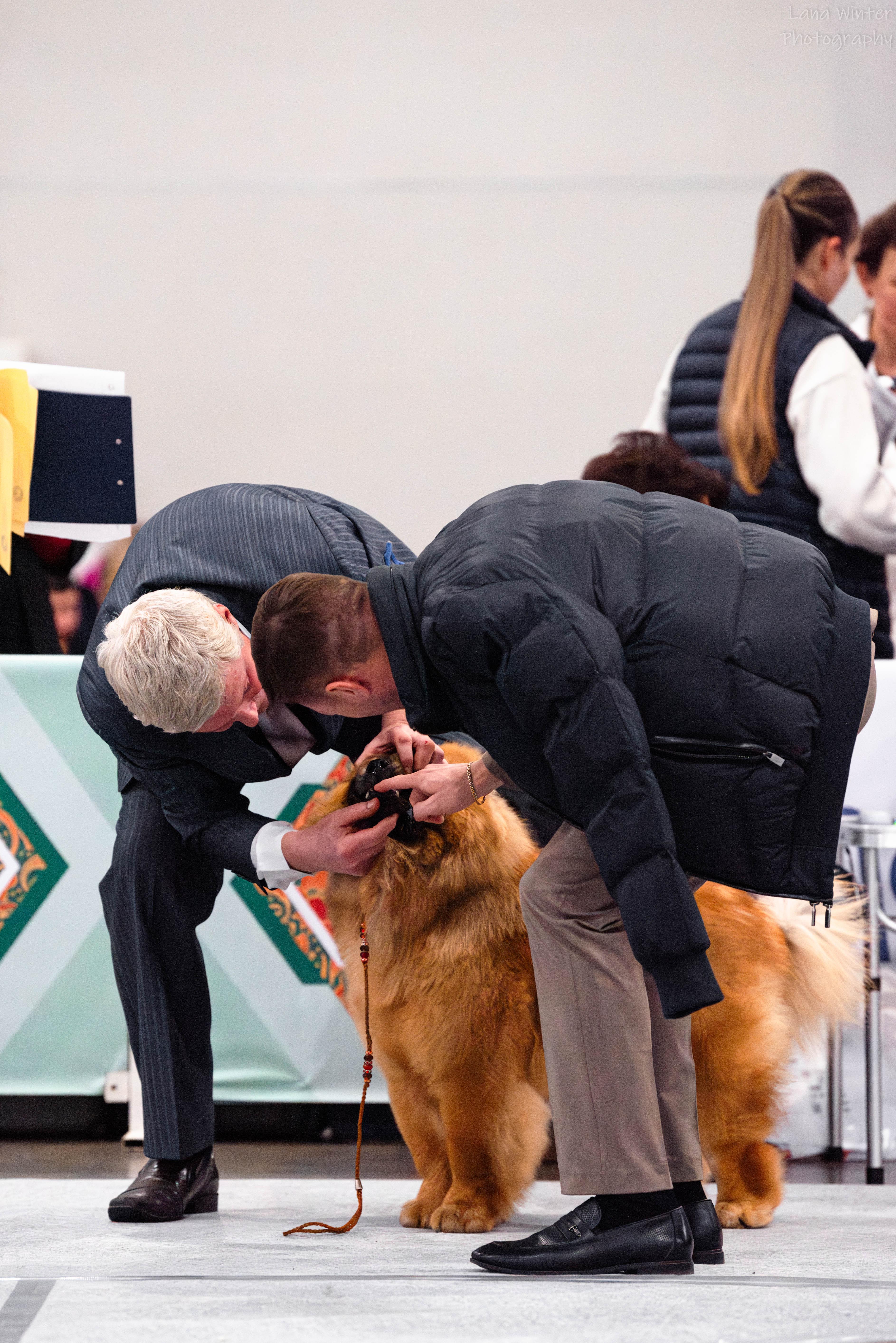 Сеня первая выставка  16.02.2013, ЛБ