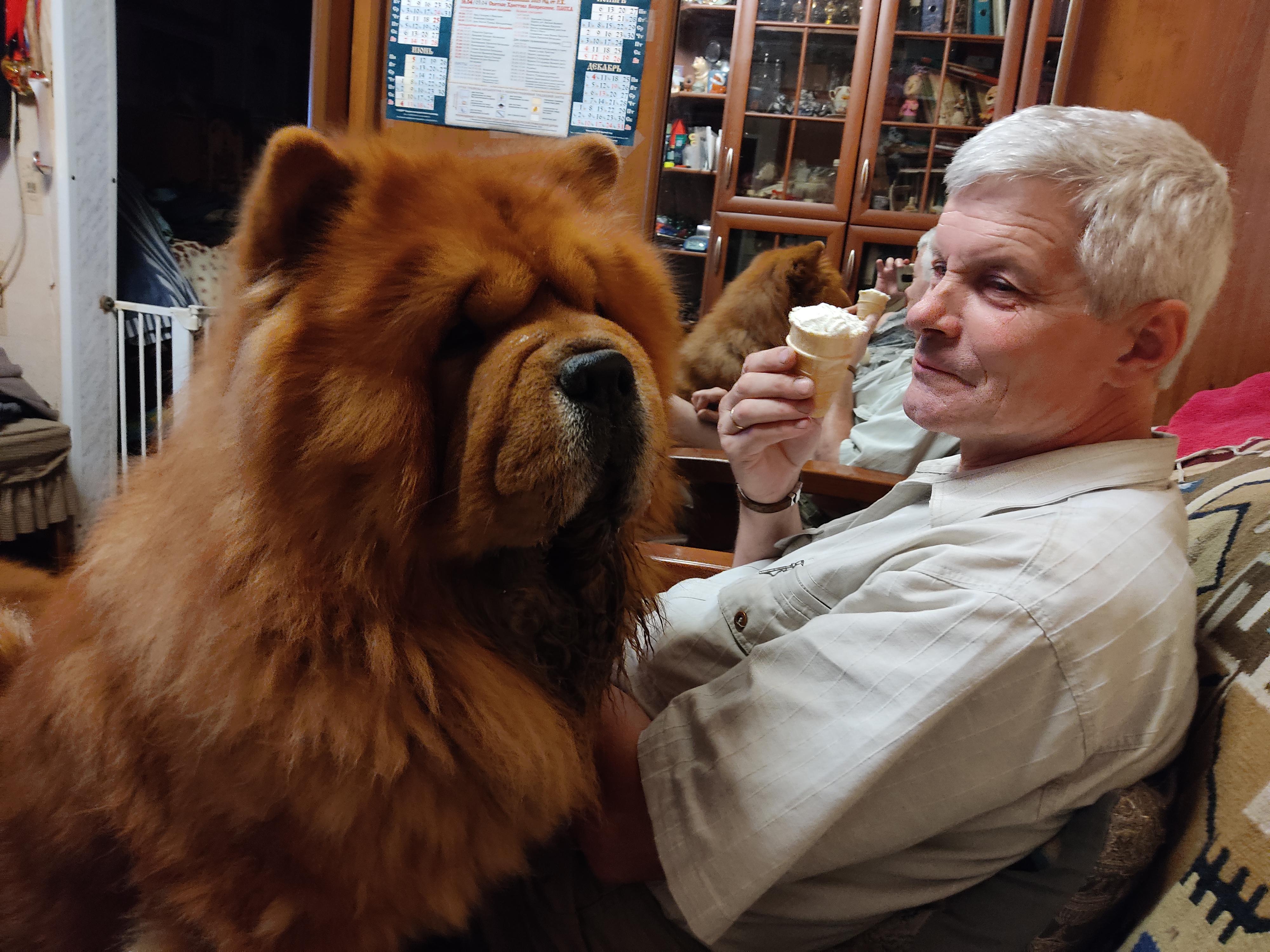 Сеня - 2,5 года - Евразия-2015 - 21.03.2015г. - отл. 3