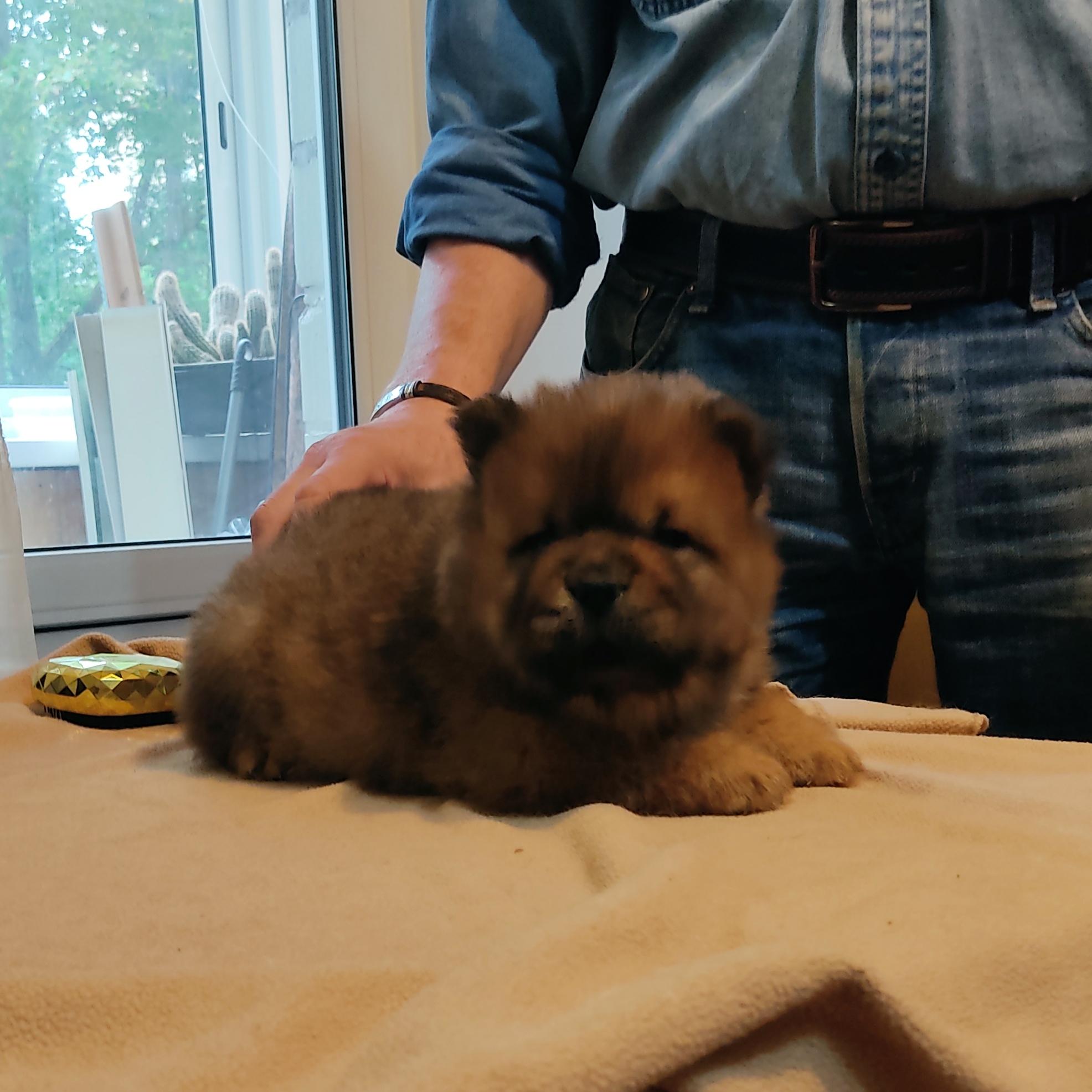 Клото Сани Анджонг