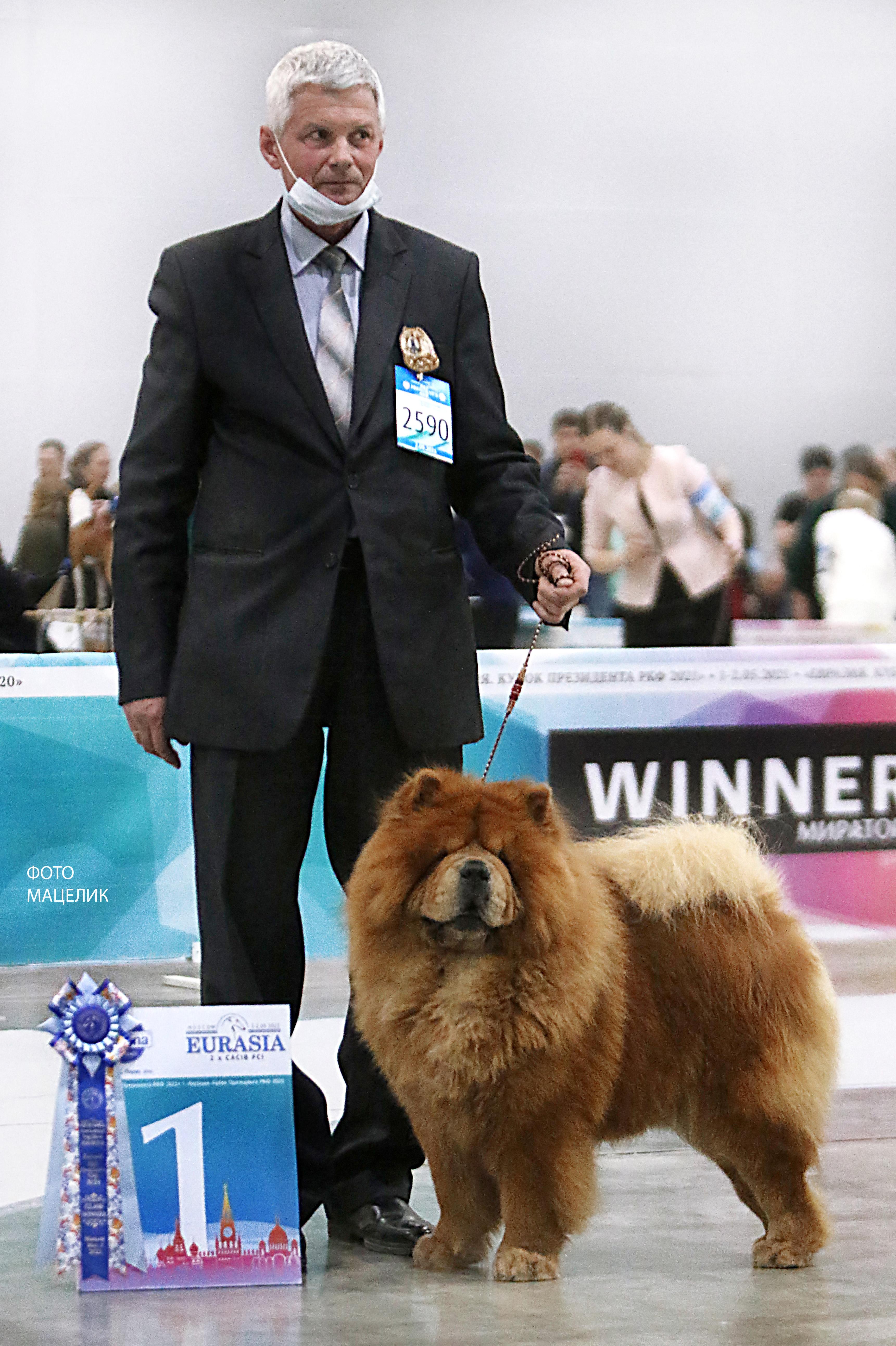 Сеня - 9,5 лет - Евразия-2021  - 02.05.2021г. - отл.1, ЛВ, VCAC