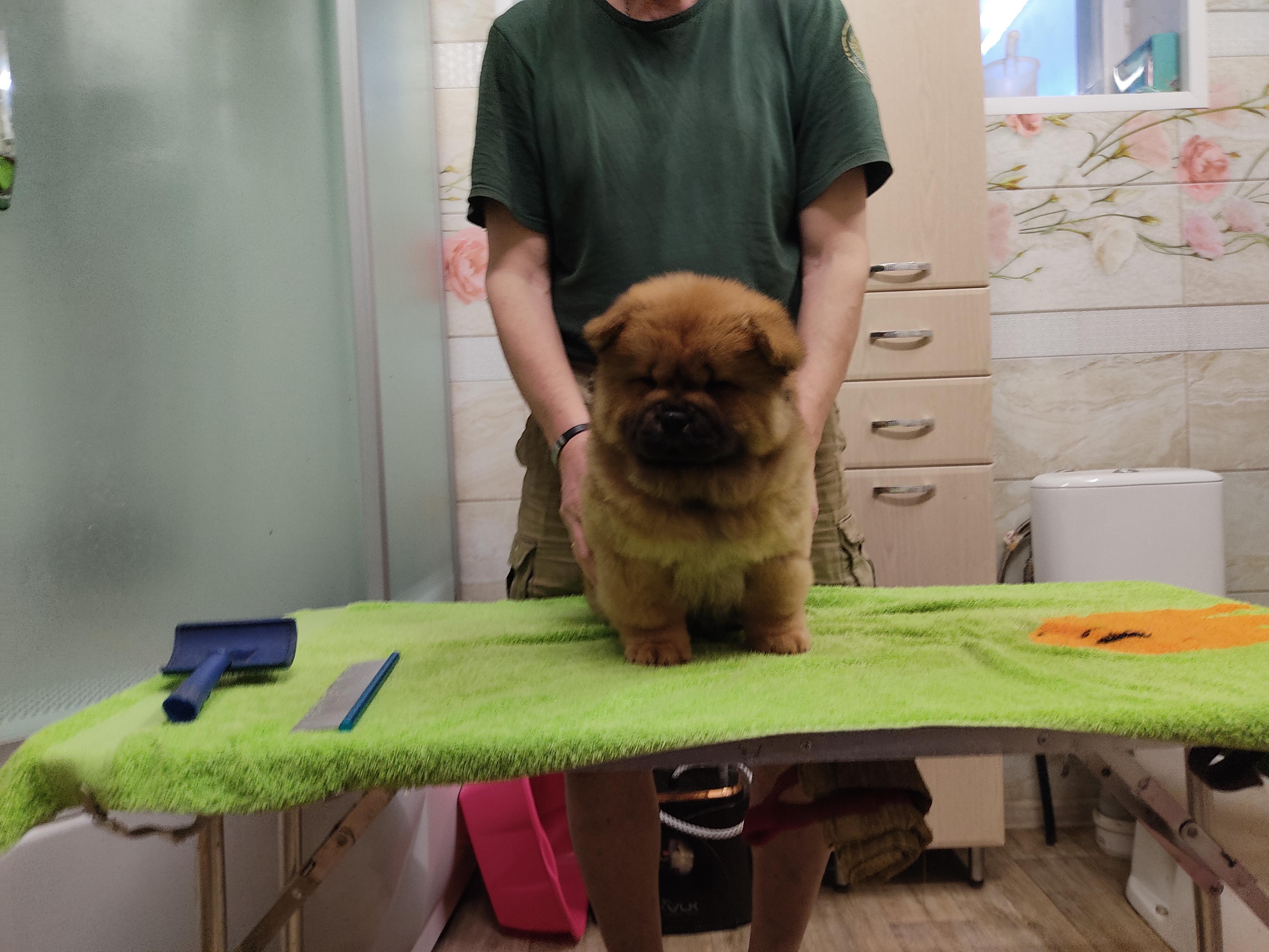 Клото Сани Анджонг