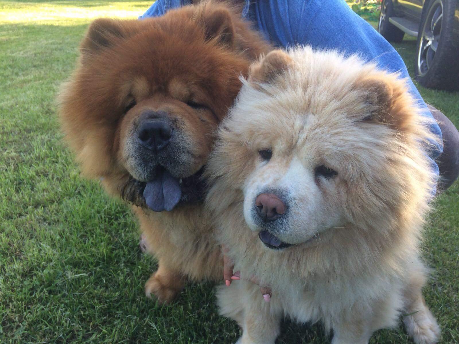 Клото Стефания Гуанчжоу