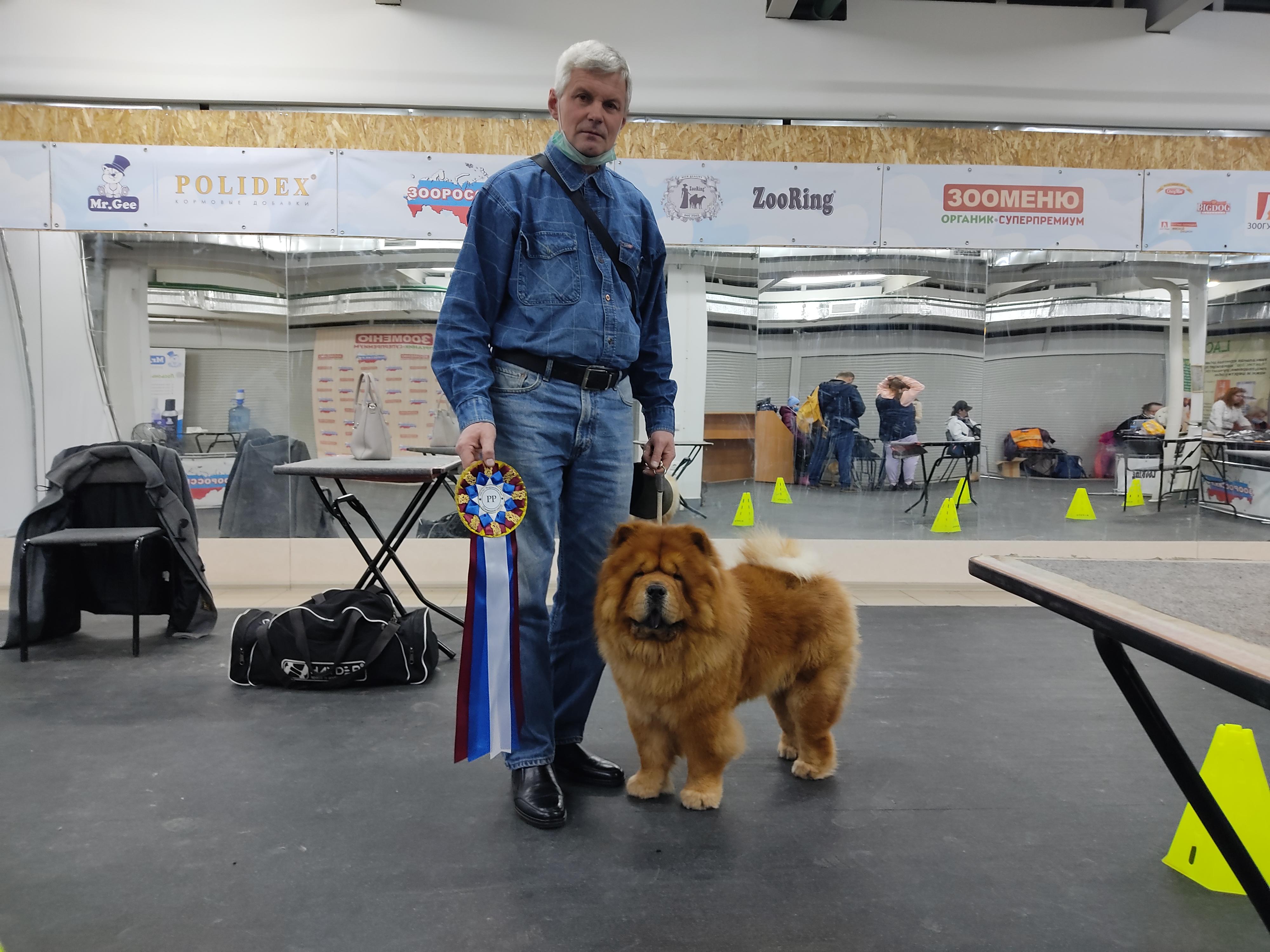 Сеня - 15 месяцев - Фауна - 08.02.2014 - отл., CW, САС, ЧФ