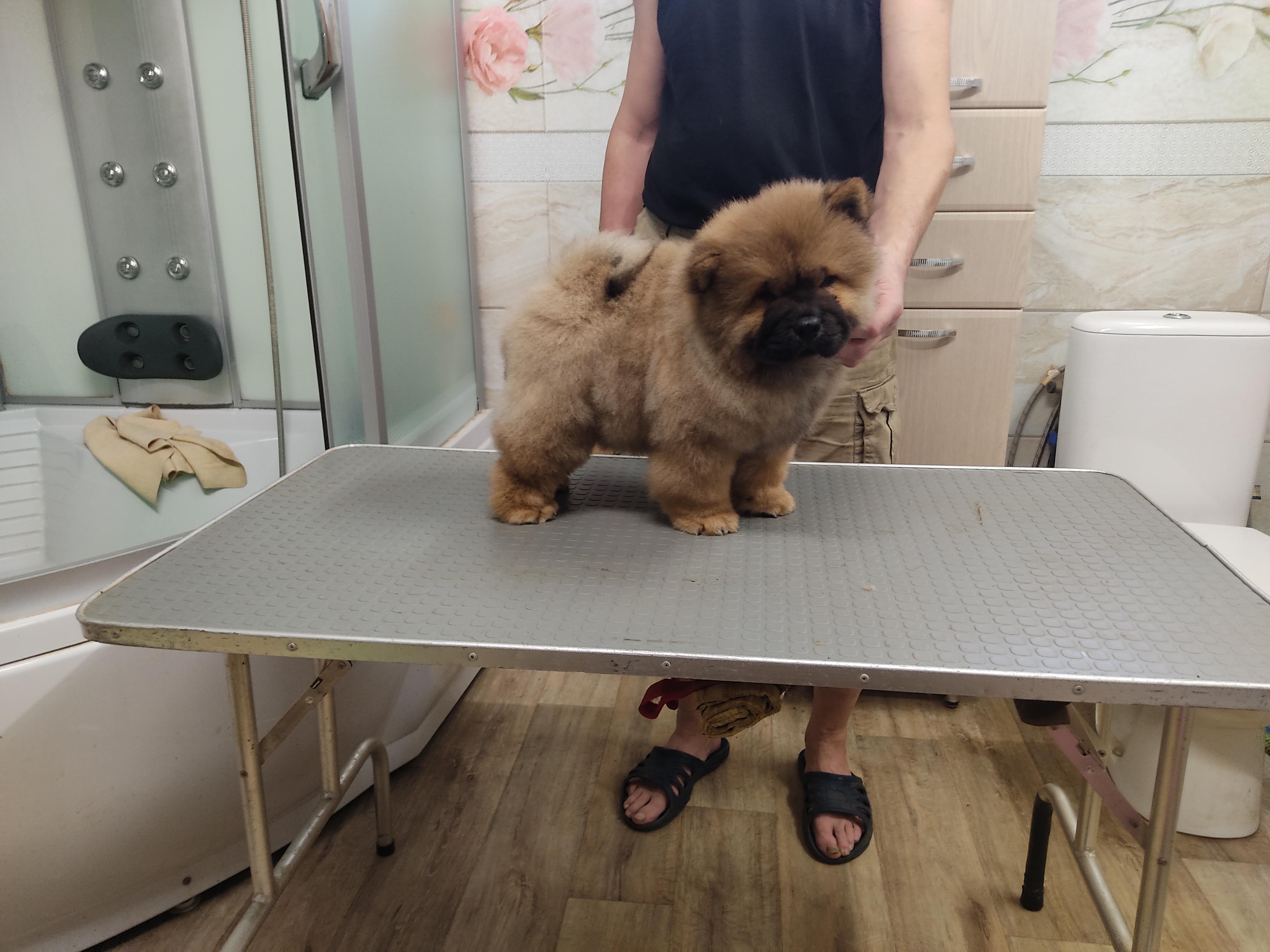 Клото Сани Анджонг