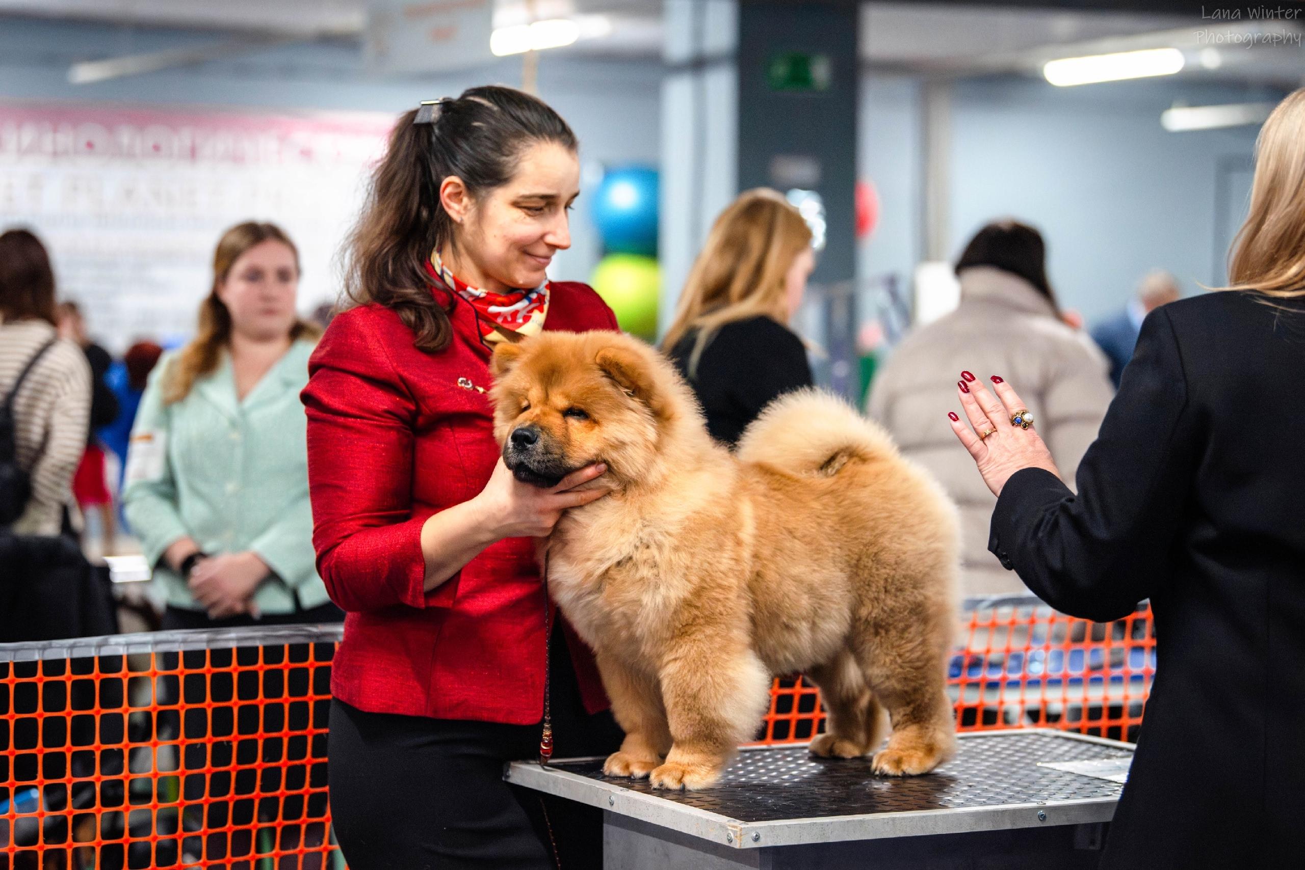 25.10.2025 Hip-Hop Djalo 