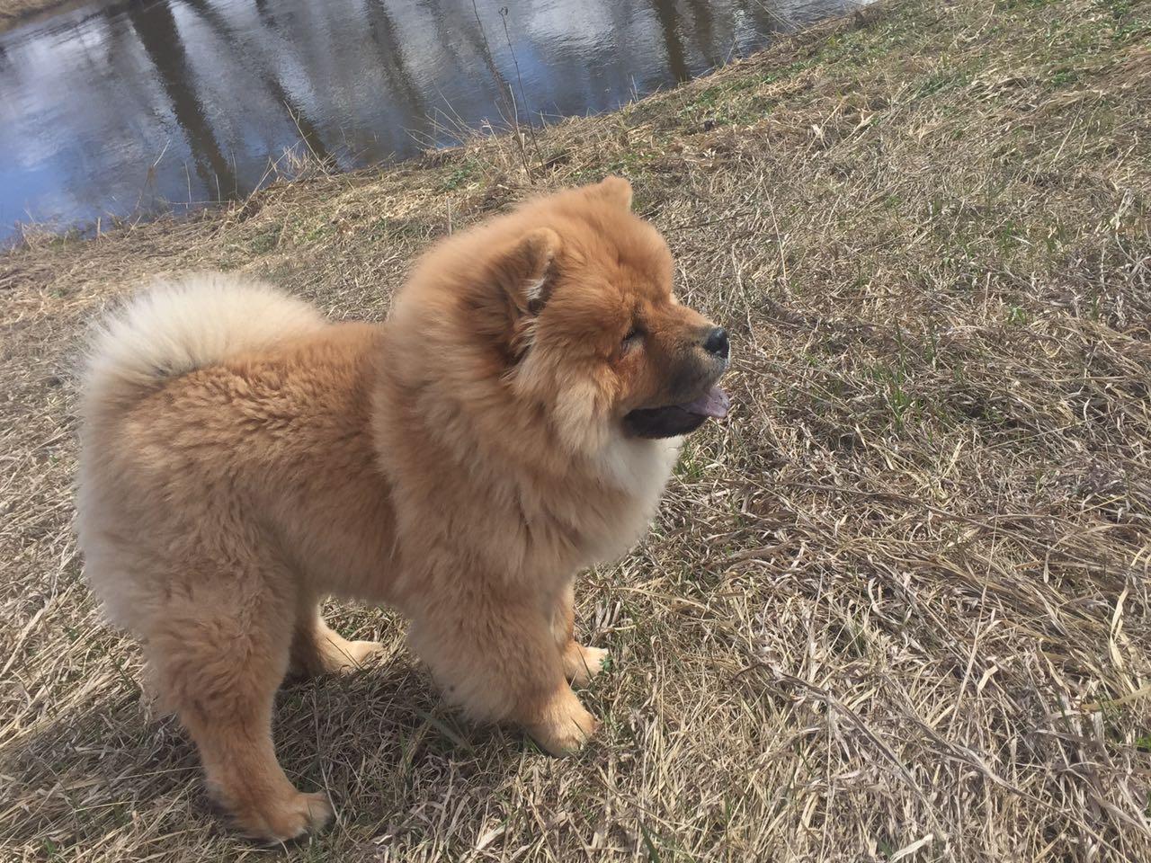 Клото Стефания Гуанчжоу