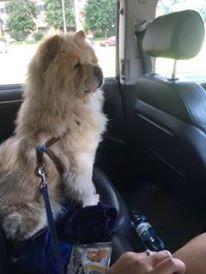 Клото Стефания Гуанчжоу