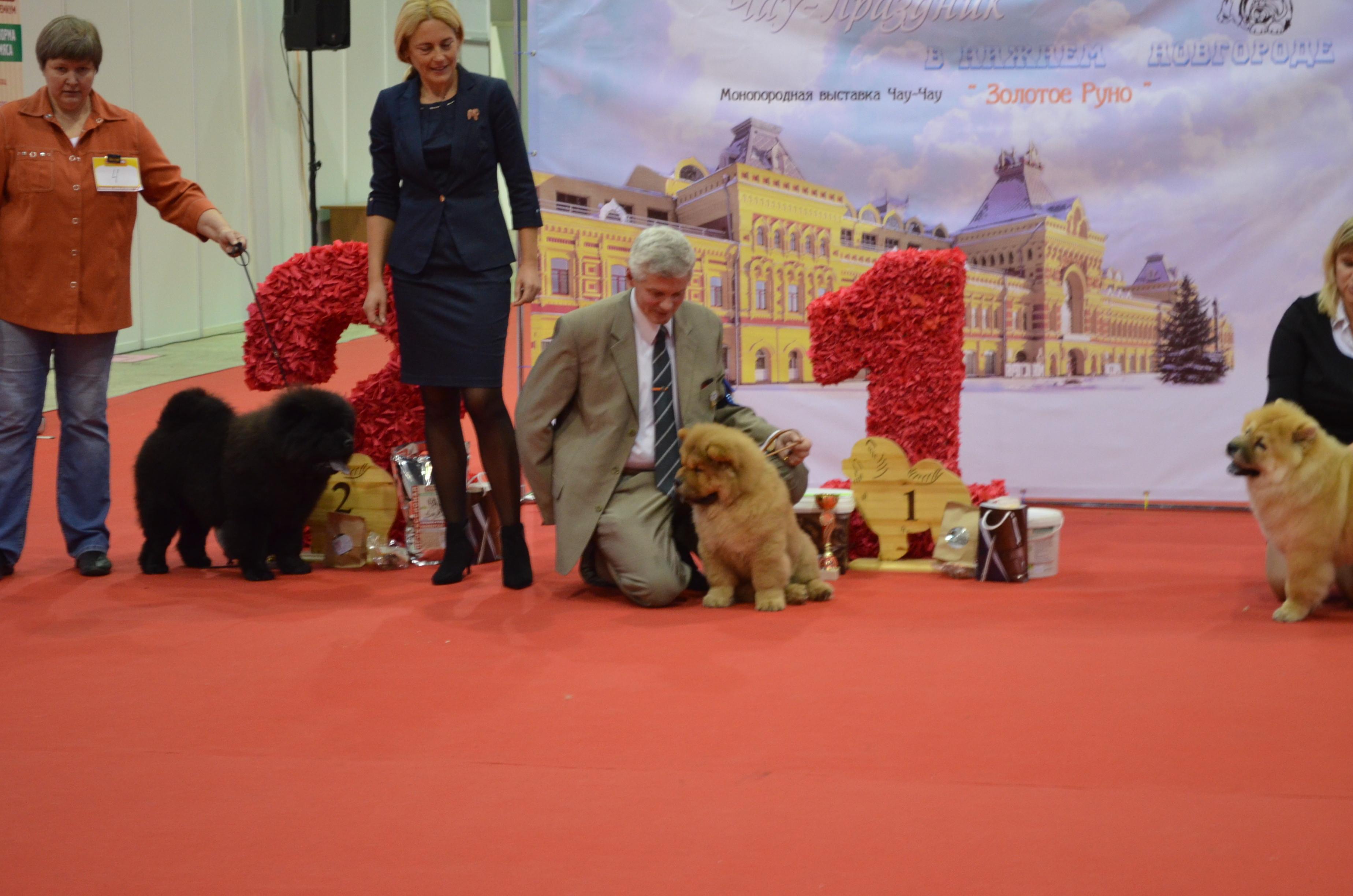 Сеня первая выставка  16.02.2013, ЛБ