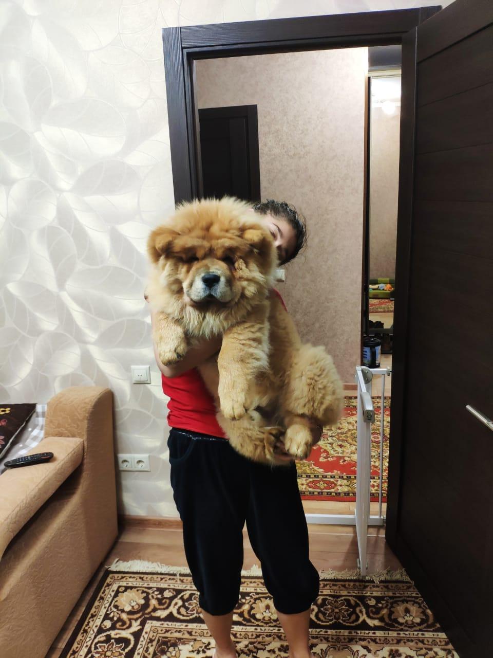 Клото Сани Анджонг