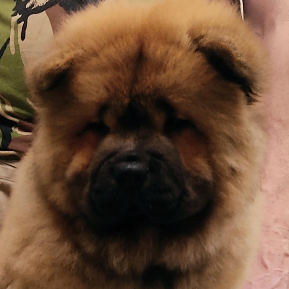 Клото Сани Анджонг