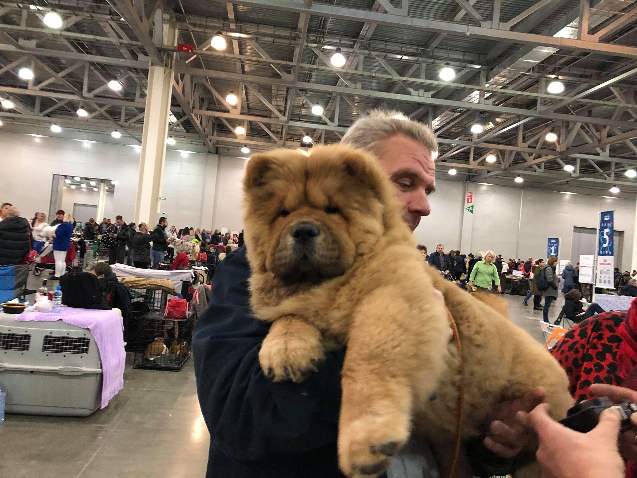 Сеня первая выставка  16.02.2013, ЛБ