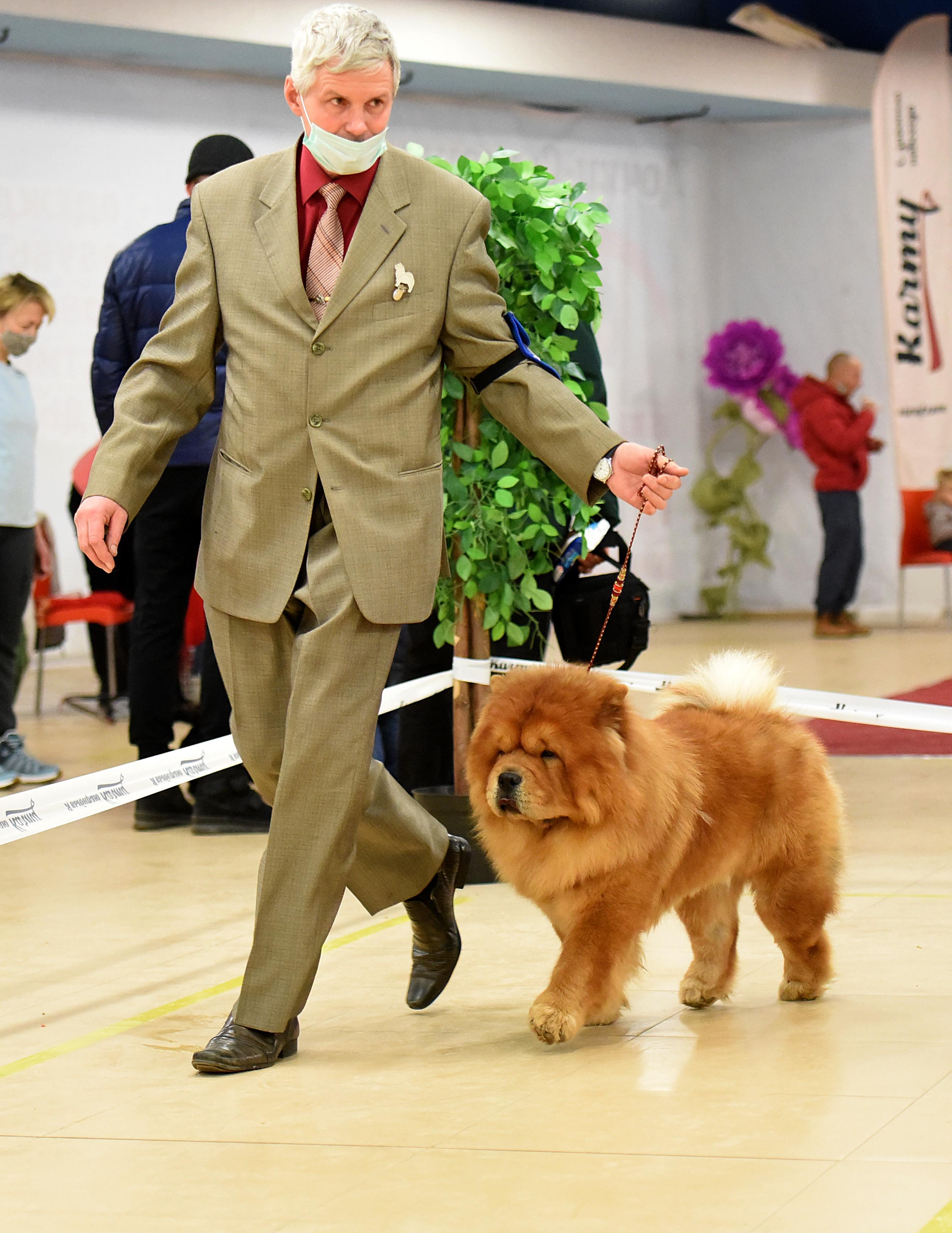 Сеня - 15 месяцев - Фауна - 08.02.2014 - отл., CW, САС, ЧФ