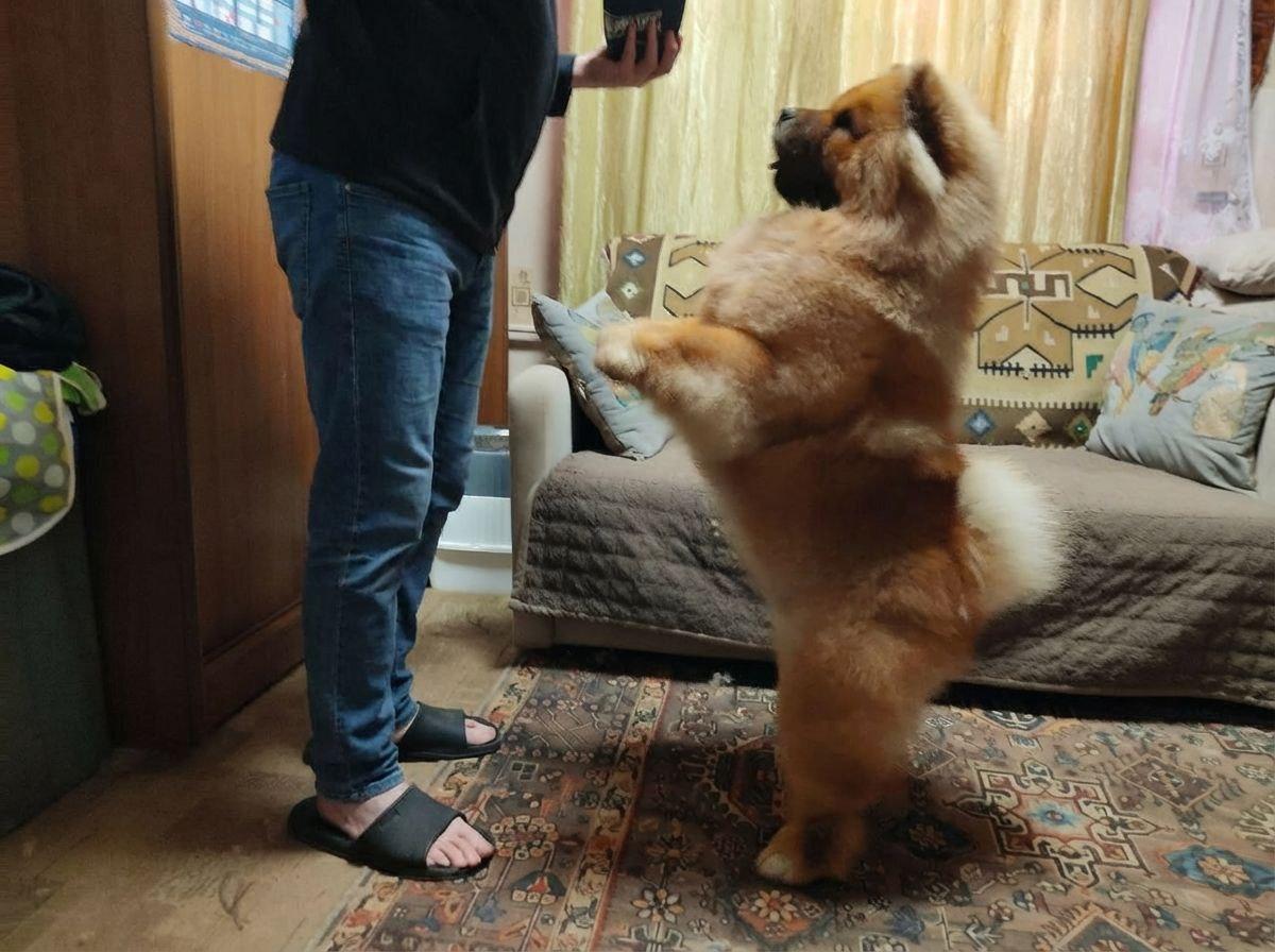 Сеня 7 месяцев