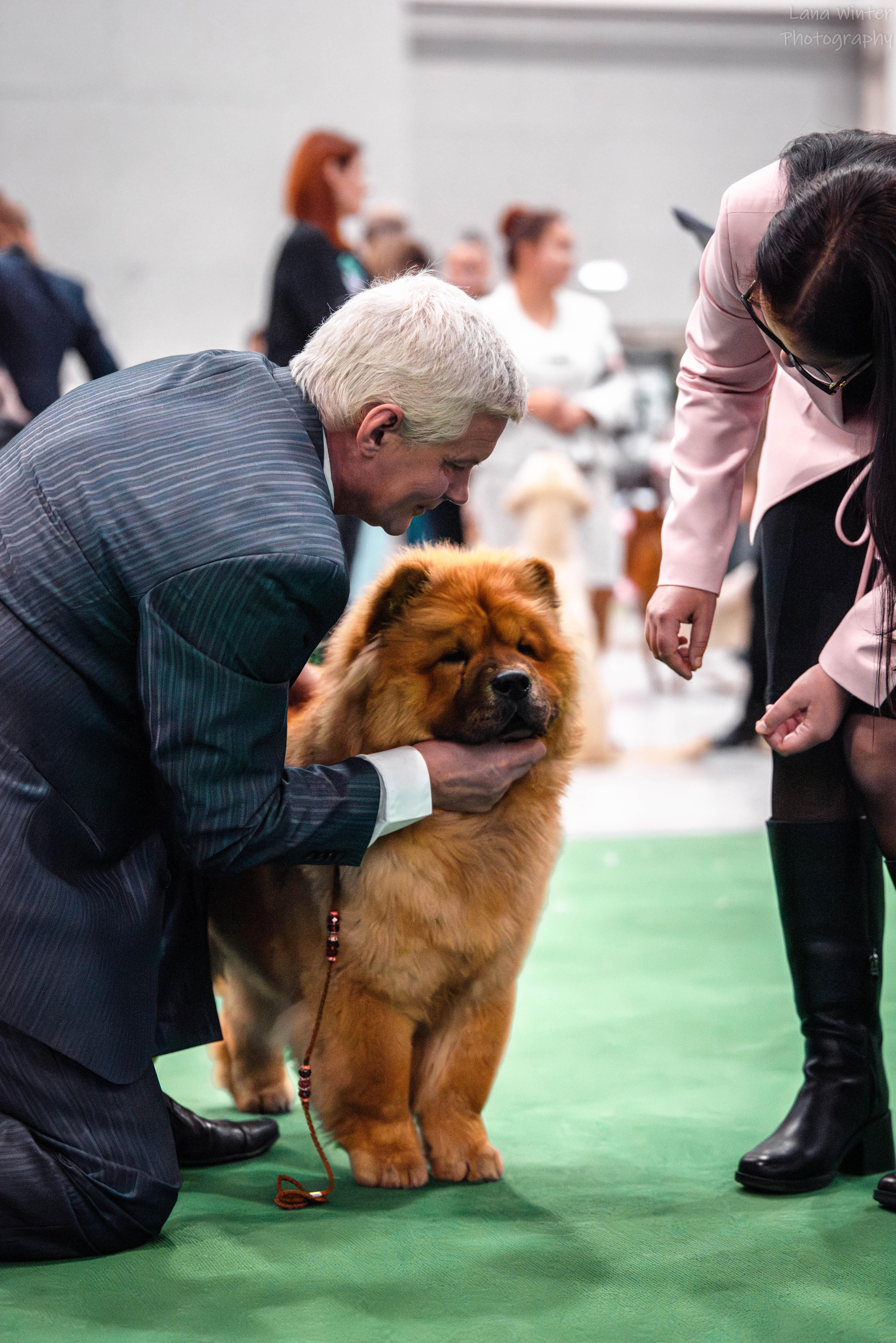 Сеня первая выставка  16.02.2013, ЛБ