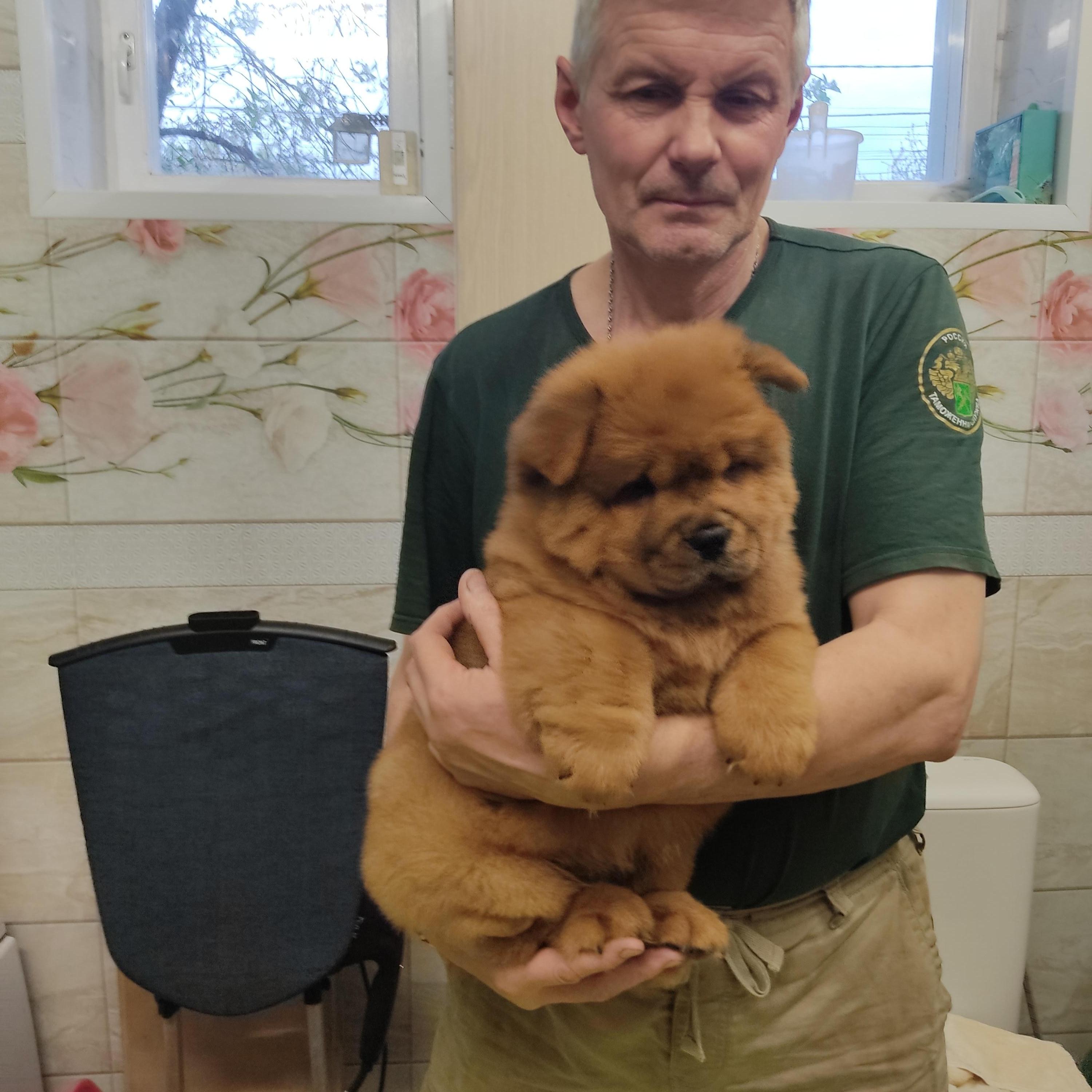 Клото Сани Анджонг