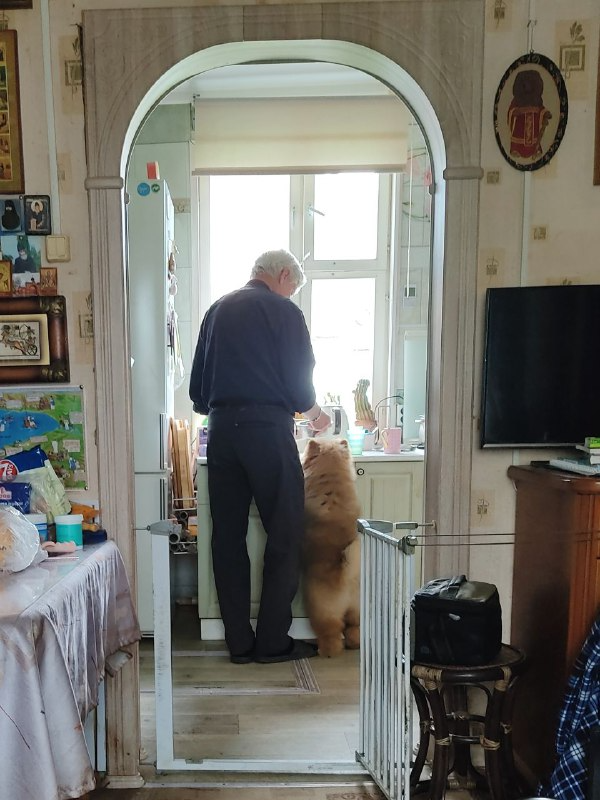 Осенний  Поцелуй Файер Сталкер (Сеня) - 1,5 месяца