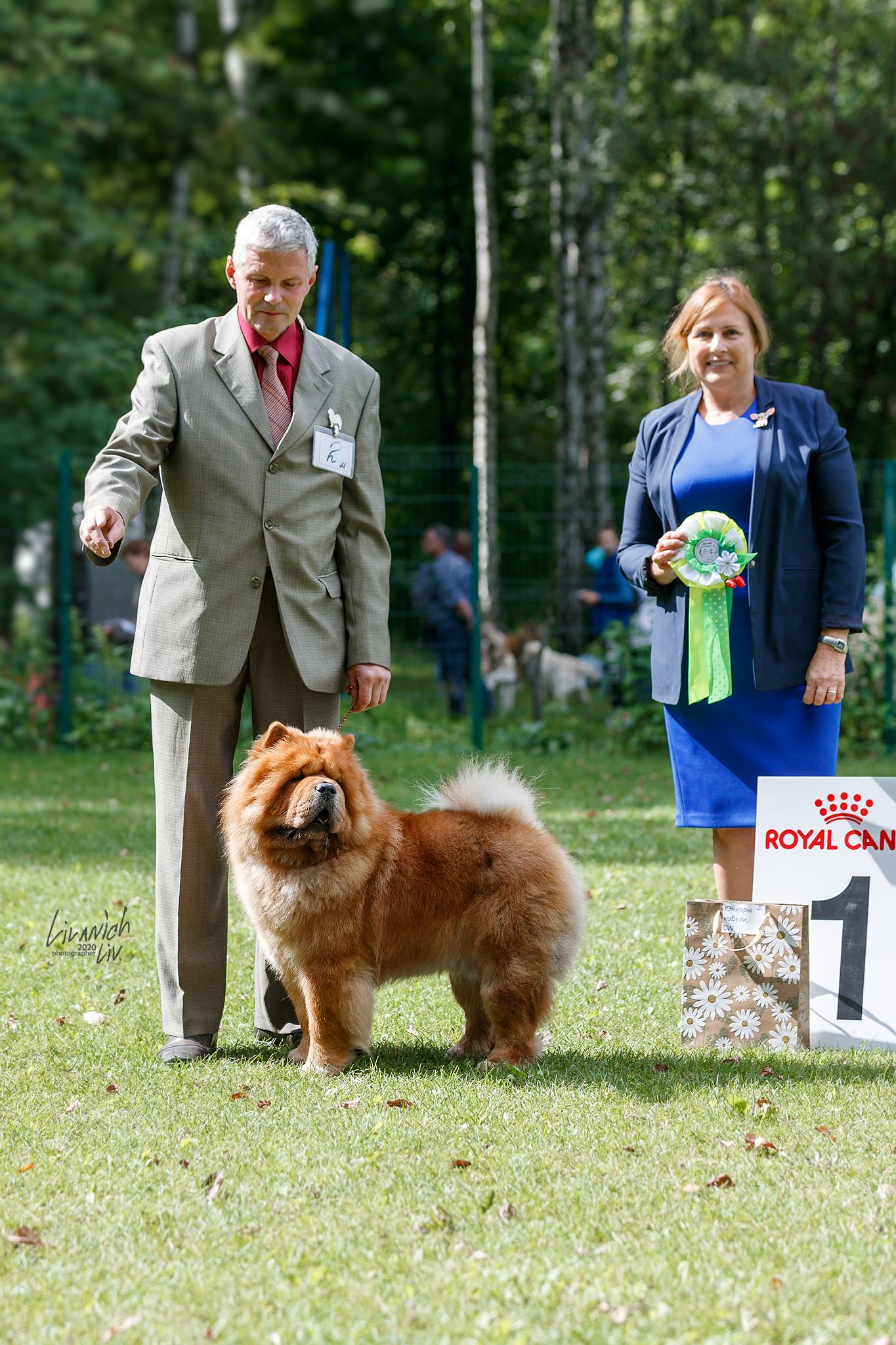 Сеня - 15 месяцев - Фауна - 08.02.2014 - отл., CW, САС, ЧФ