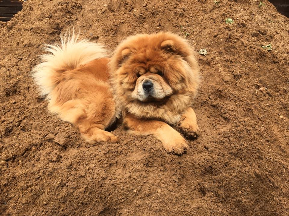 Клото Сани Анджонг