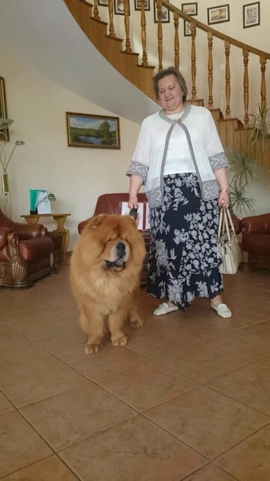 Сеня - 2,5 года - Курск CACIB - 26.07.2015г. - отл.2, RCAC