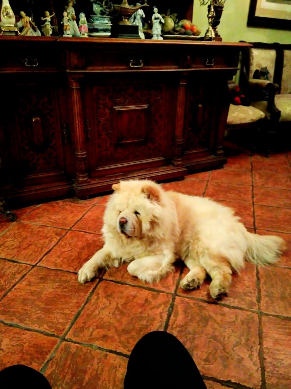 Клото Саманта Кобаджио