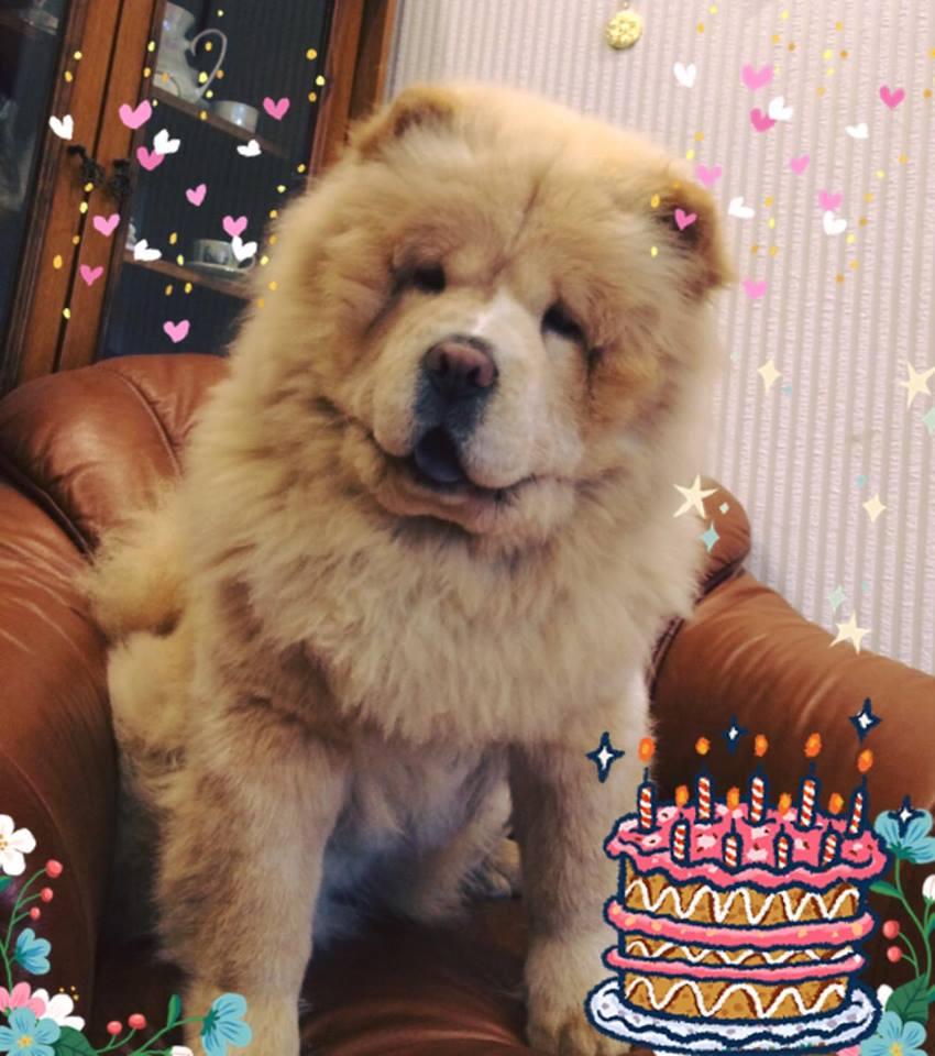 Клото Стефания Гуанчжоу 