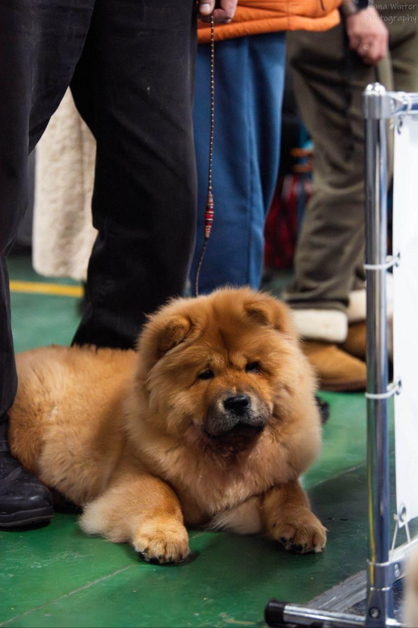 25.10.2025 Hip-Hop Djalo 