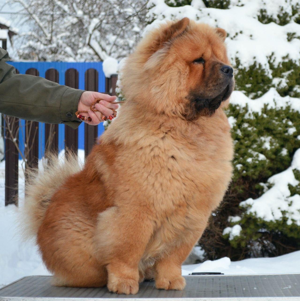 Сеня 7 месяцев