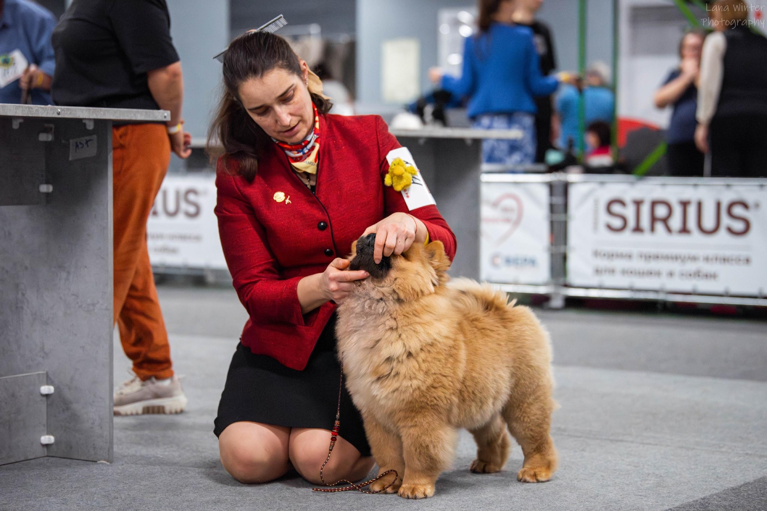 25.10.2025 Hip-Hop Djalo 