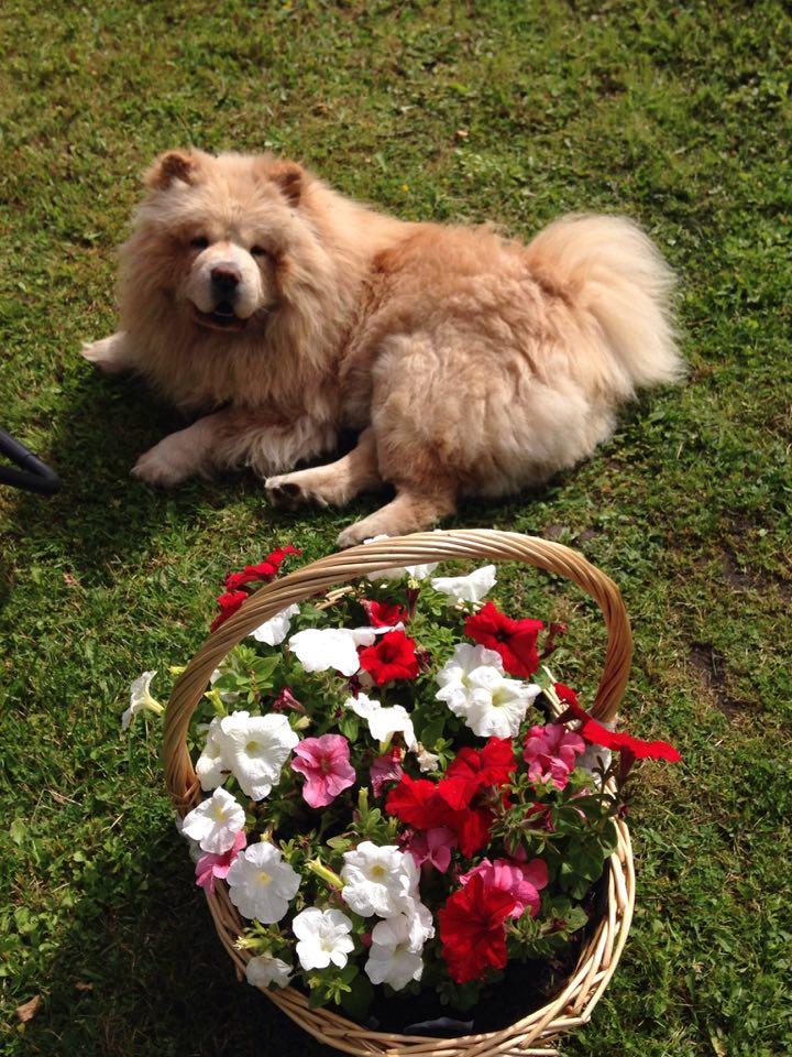 Клото Стефания Гуанчжоу