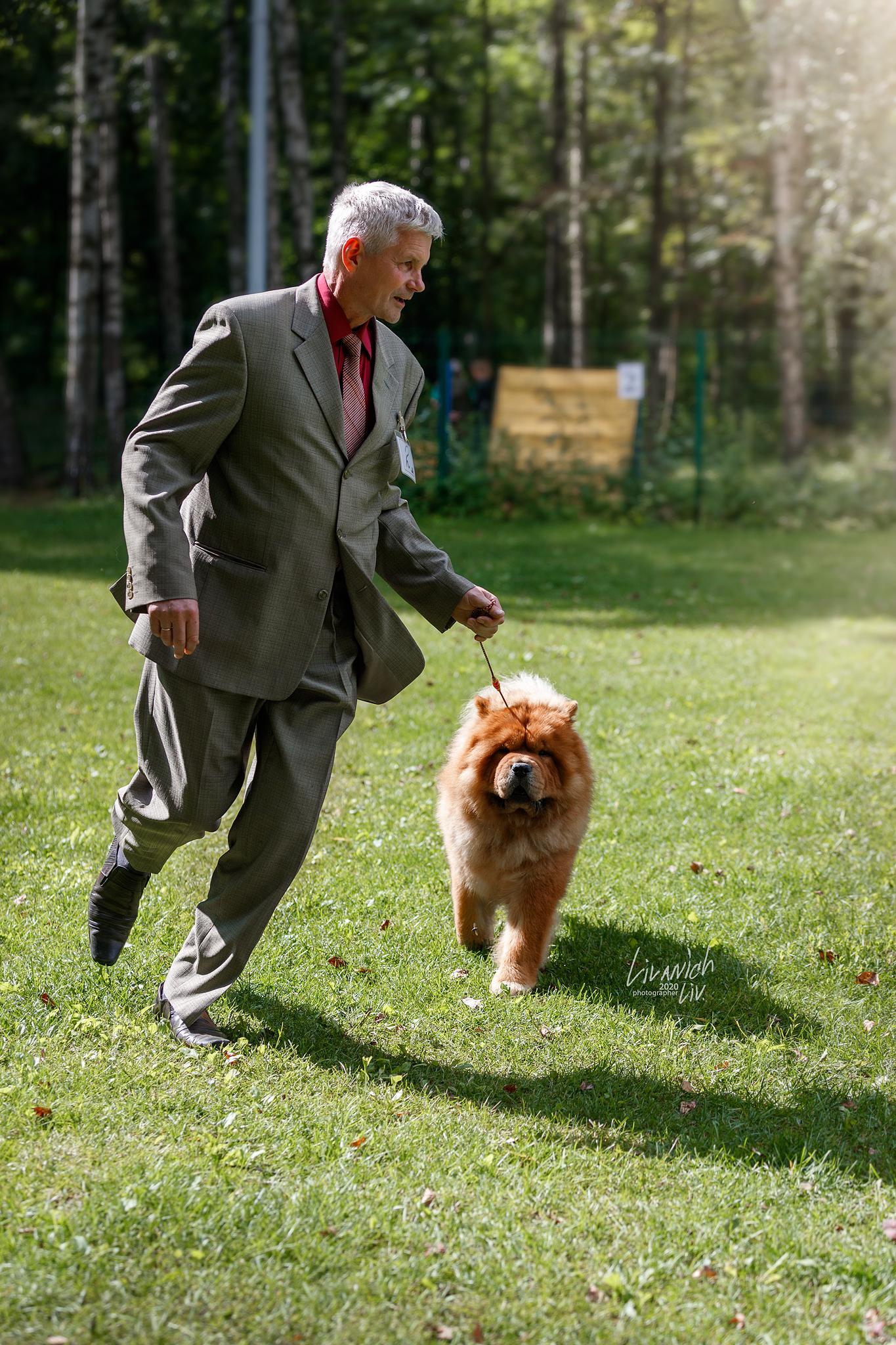 Сеня - 15 месяцев - Фауна - 08.02.2014 - отл., CW, САС, ЧФ