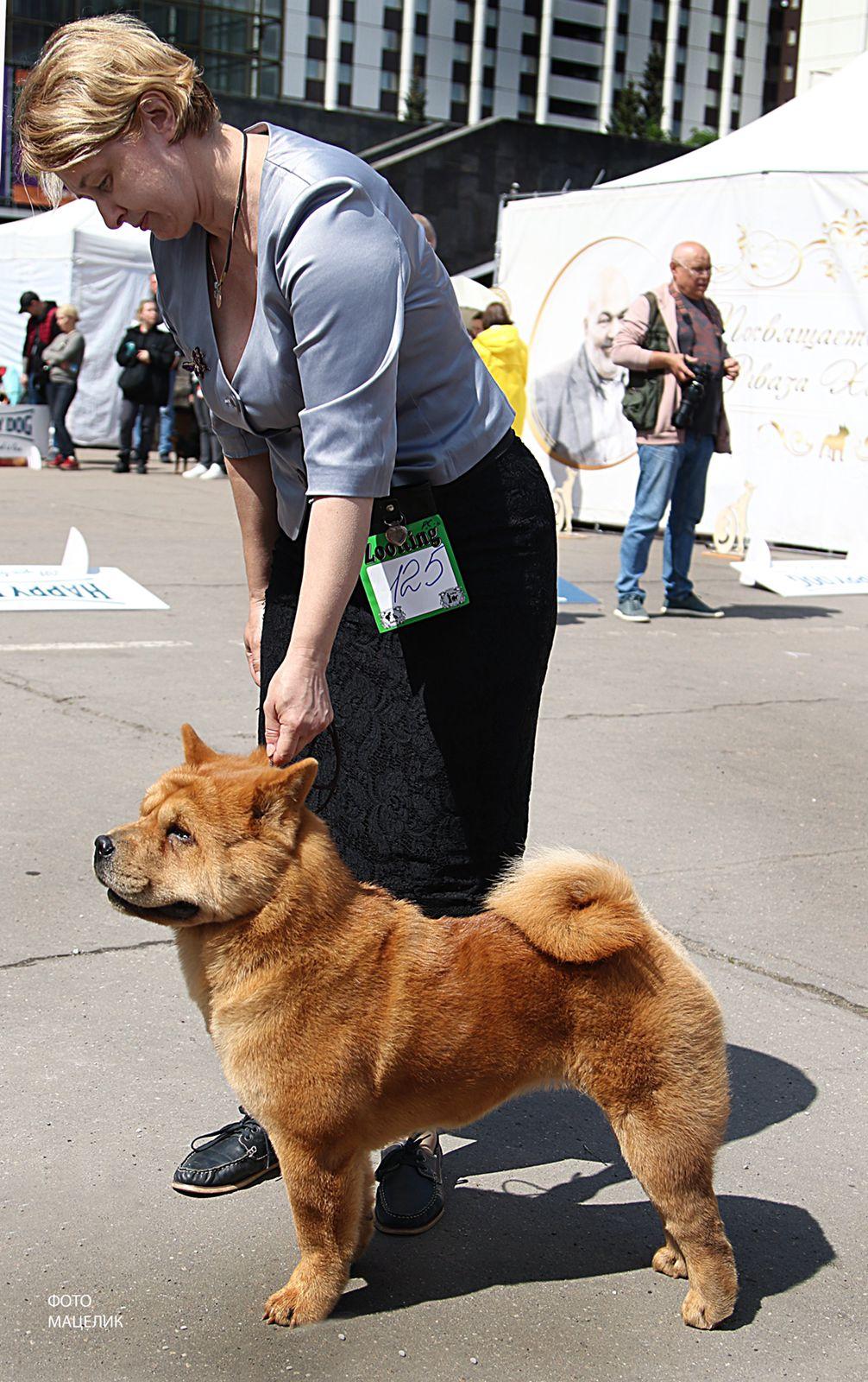 Клото Сантия Ли Мей 