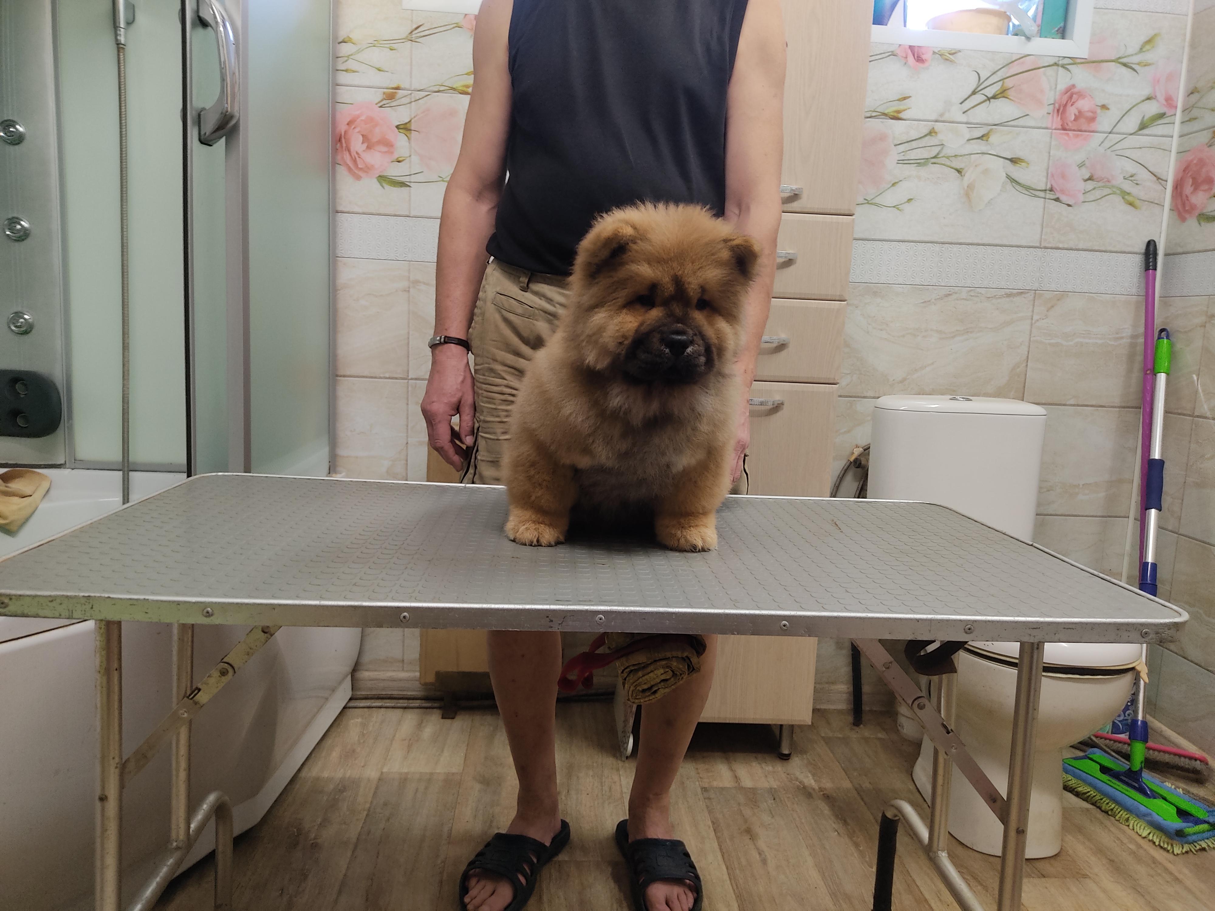 Клото Сантия Ли Мей 