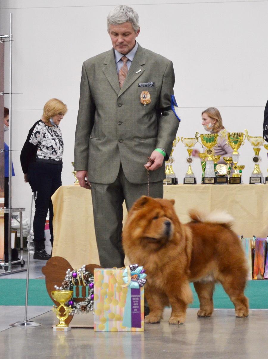 Сеня - 2,5 года - Евразия-2015 - 21.03.2015г. - отл. 3