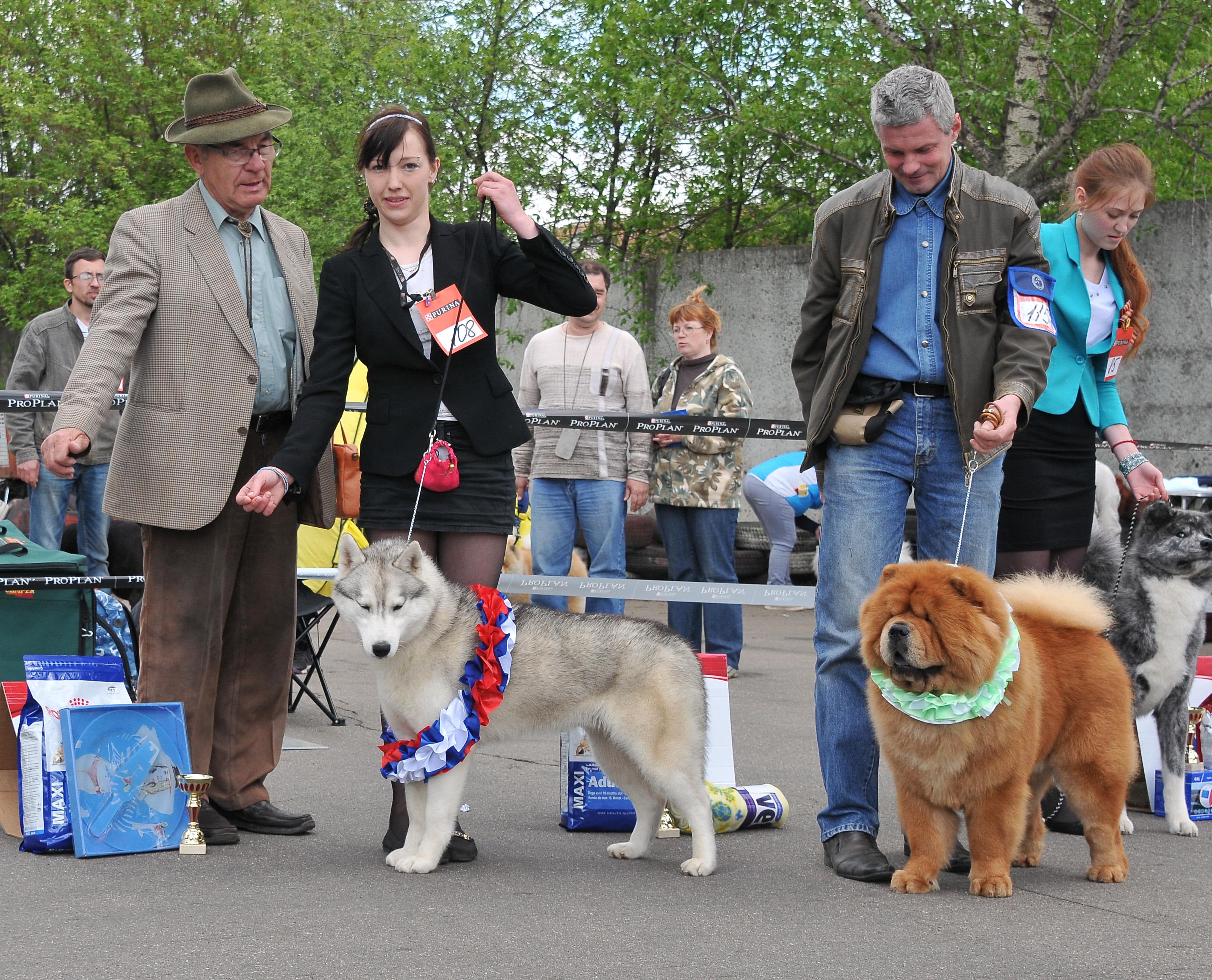 Сеня - 18 месяцев - Перово - 11.05.2014 - отл.1, CW, ЛК, ЛПП, BIG-2