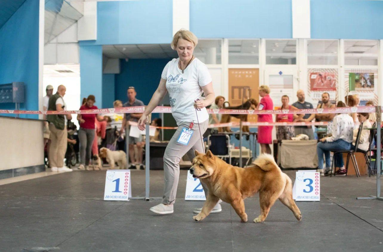 Клото Сантия Ли Мей 