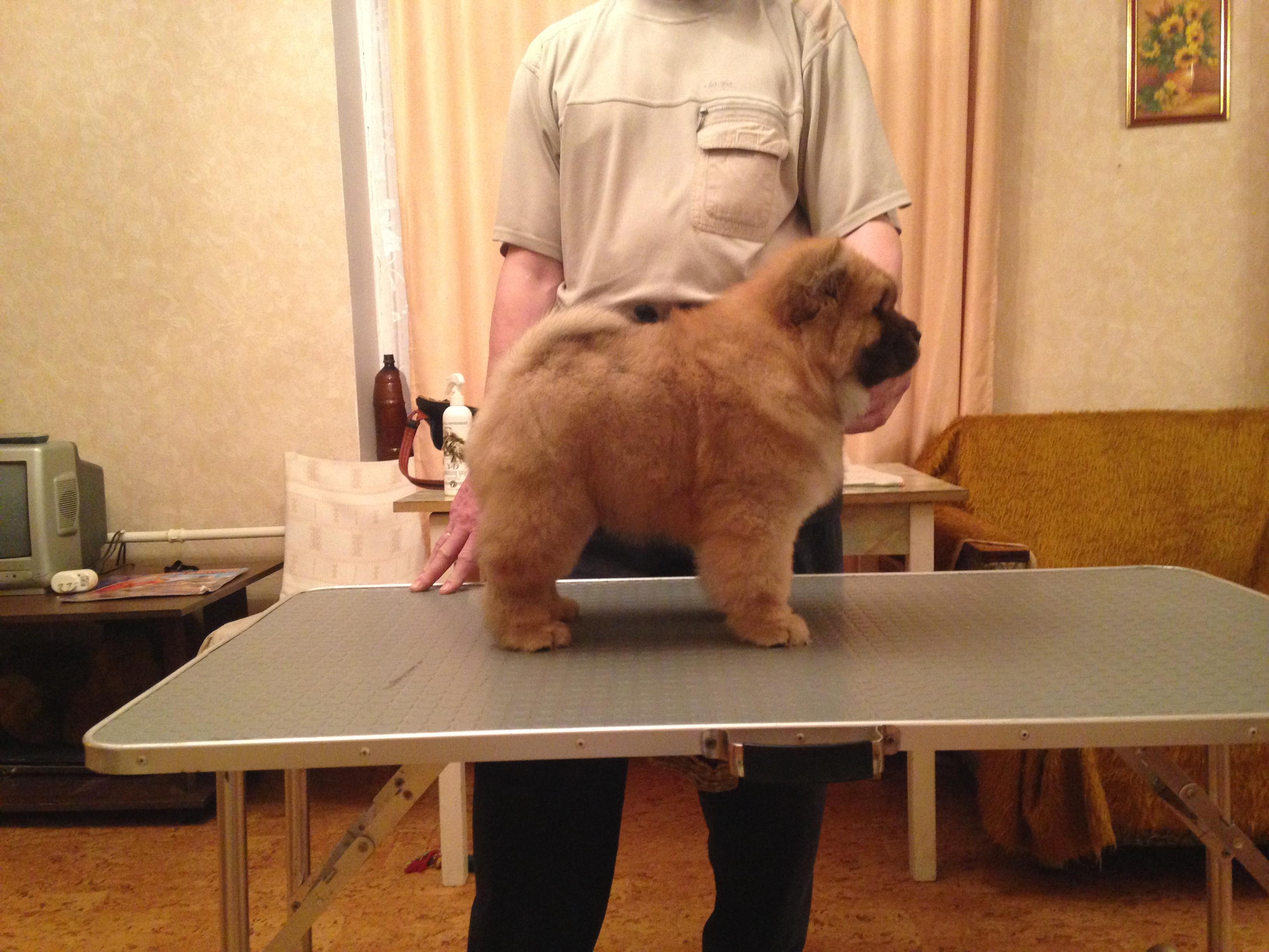 Клото Стефания Гуанчжоу