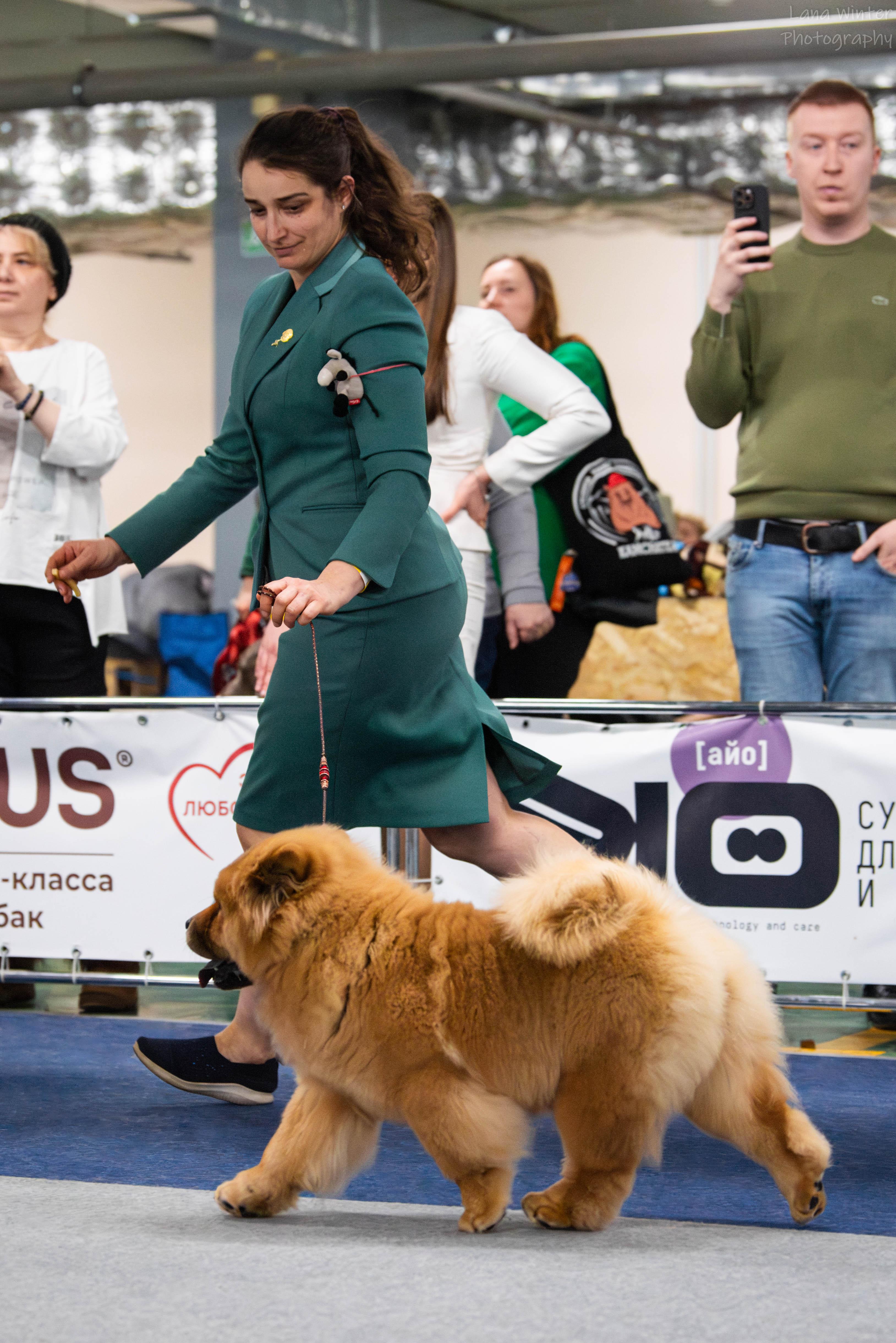 25.10.2025 Hip-Hop Djalo 