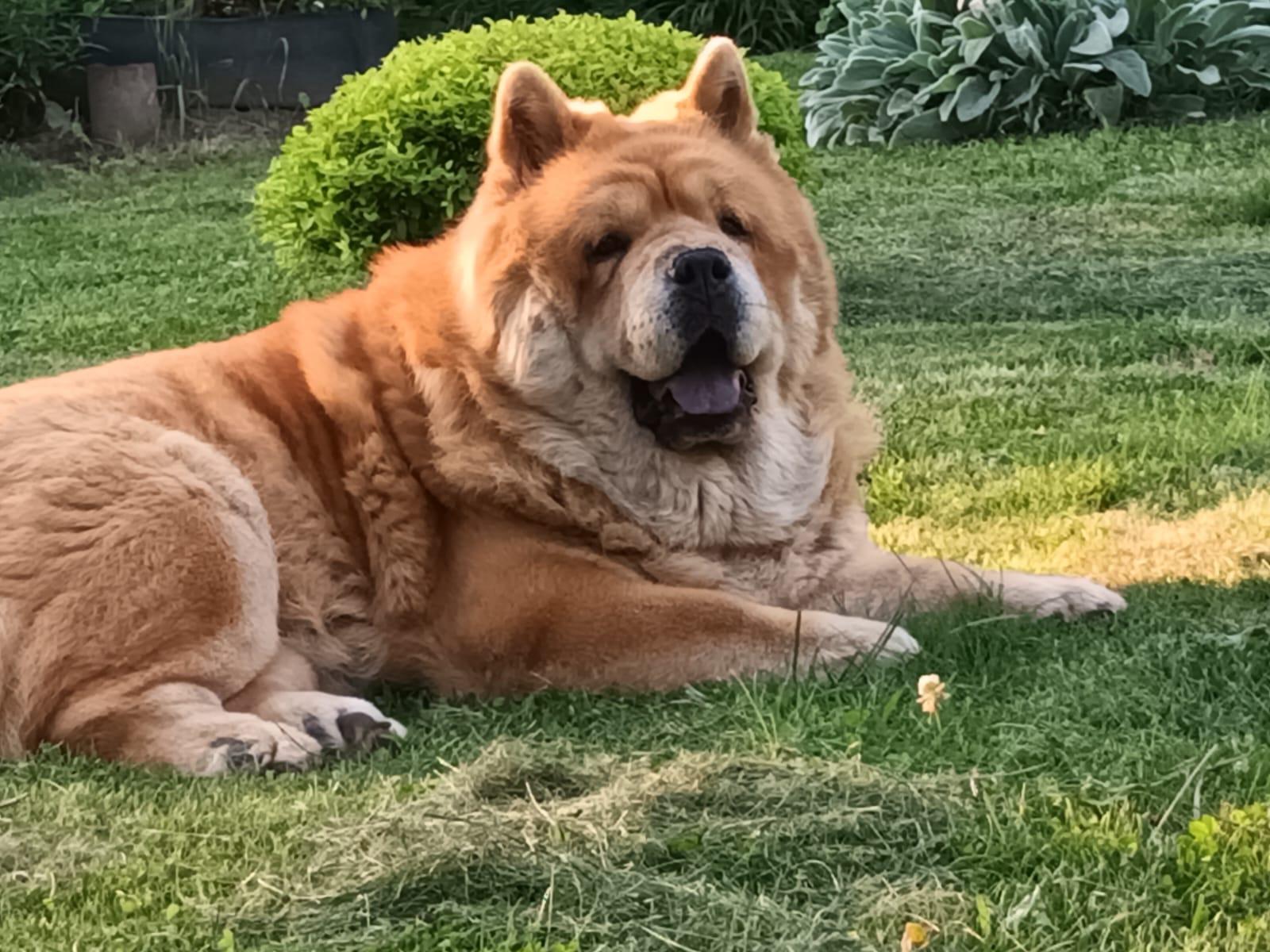 KLOTO BRIZARD MARIYA (Маша)