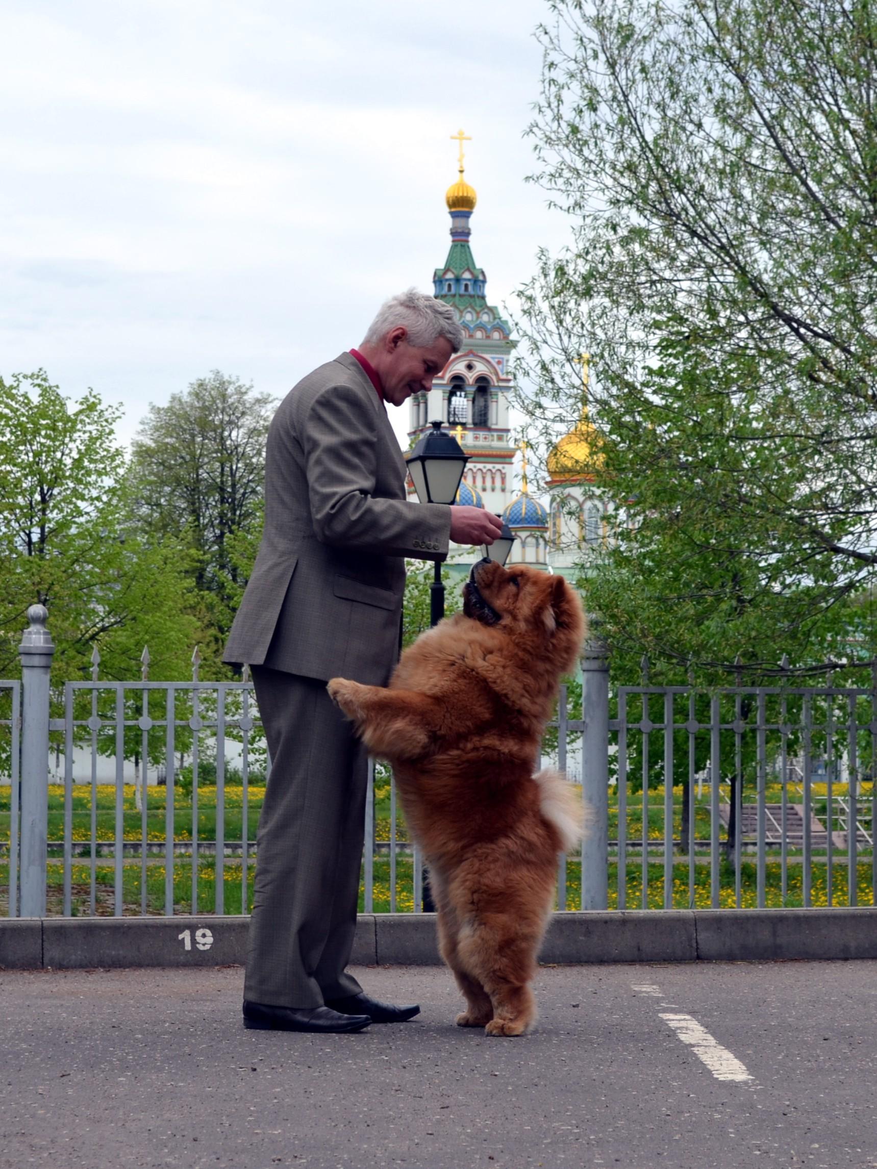 Сеня 7 месяцев