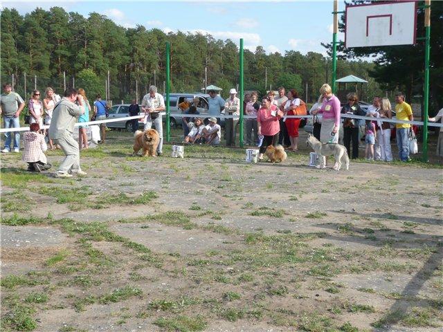 Цезарь 16 месяцев  г.Владимир, БИГ-1!!!