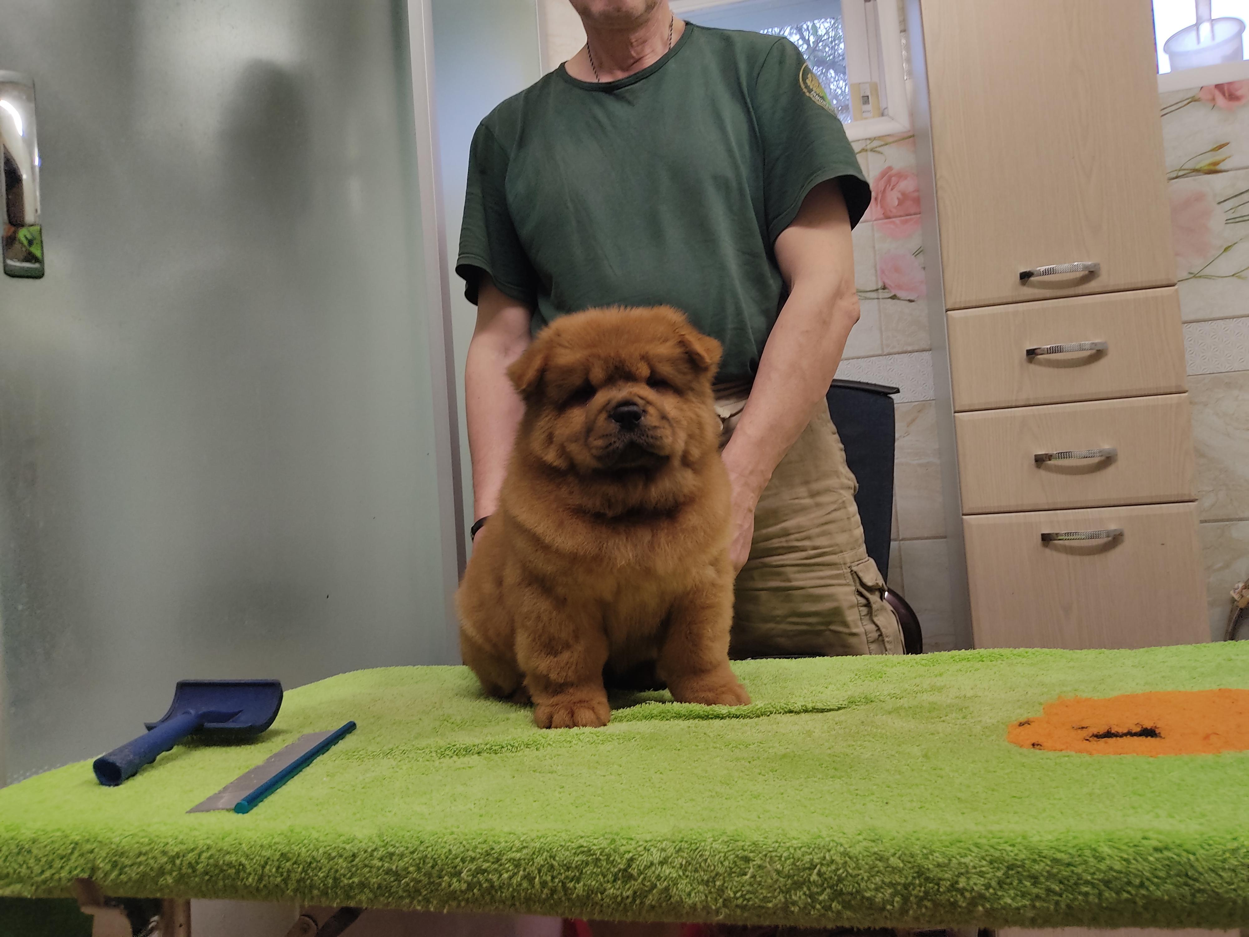 Клото Сани Анджонг