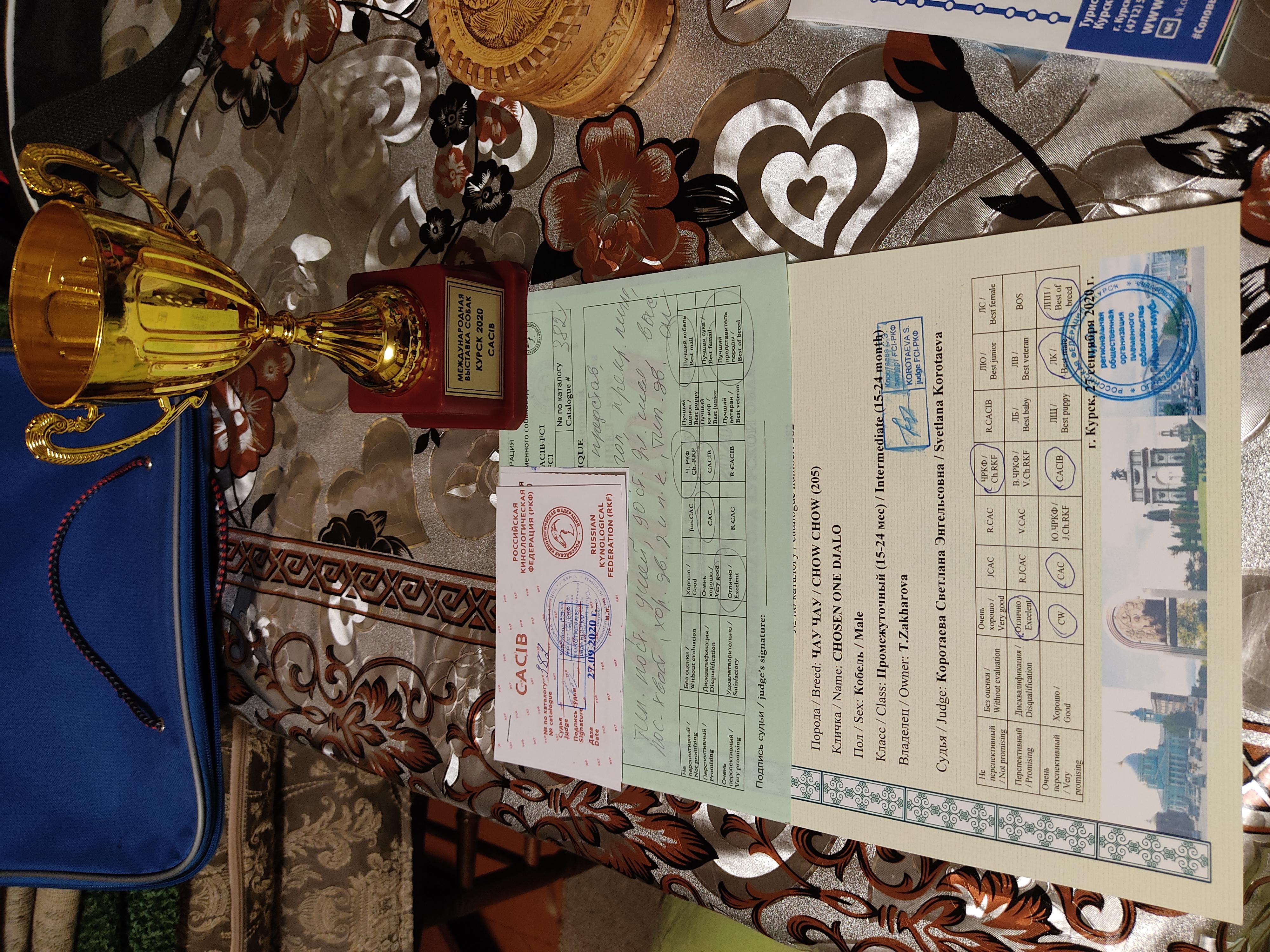 Сеня - 15 месяцев - Фауна - 08.02.2014 - отл., CW, САС, ЧФ